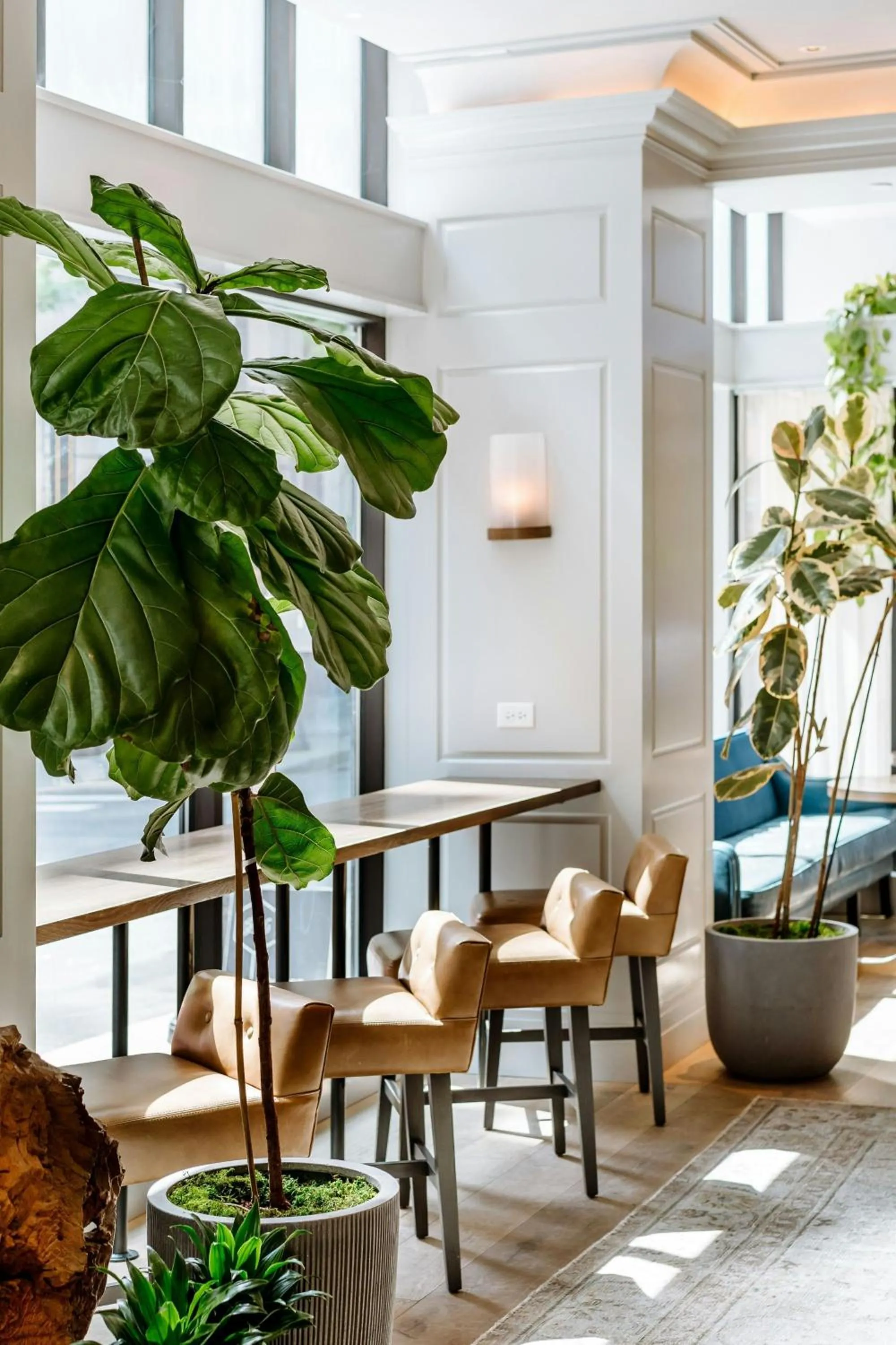 Lobby or reception in Woodlark Hotel Portland, a Tribute Portfolio Hotel