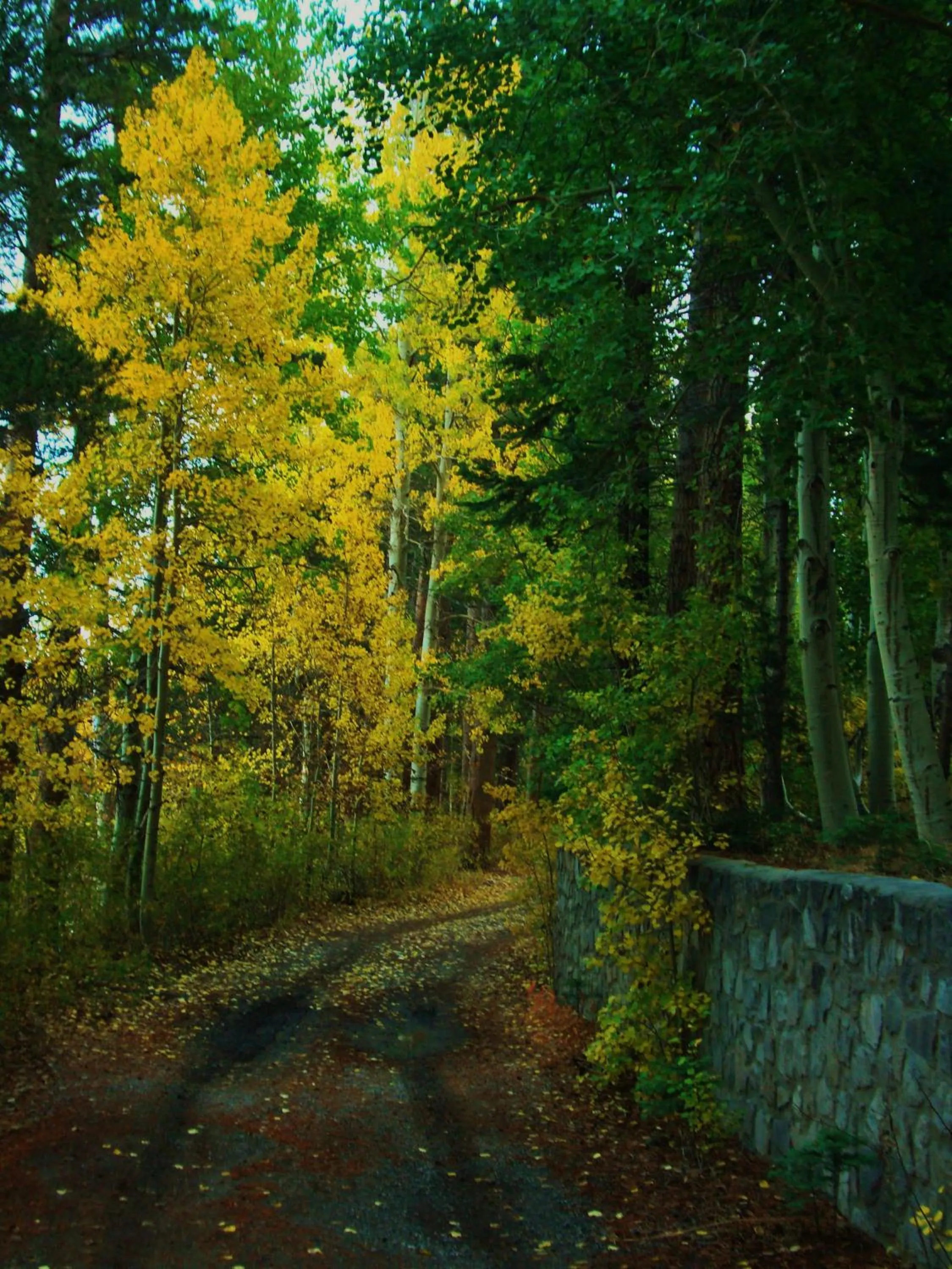 Neighbourhood in Lake Front Cabins