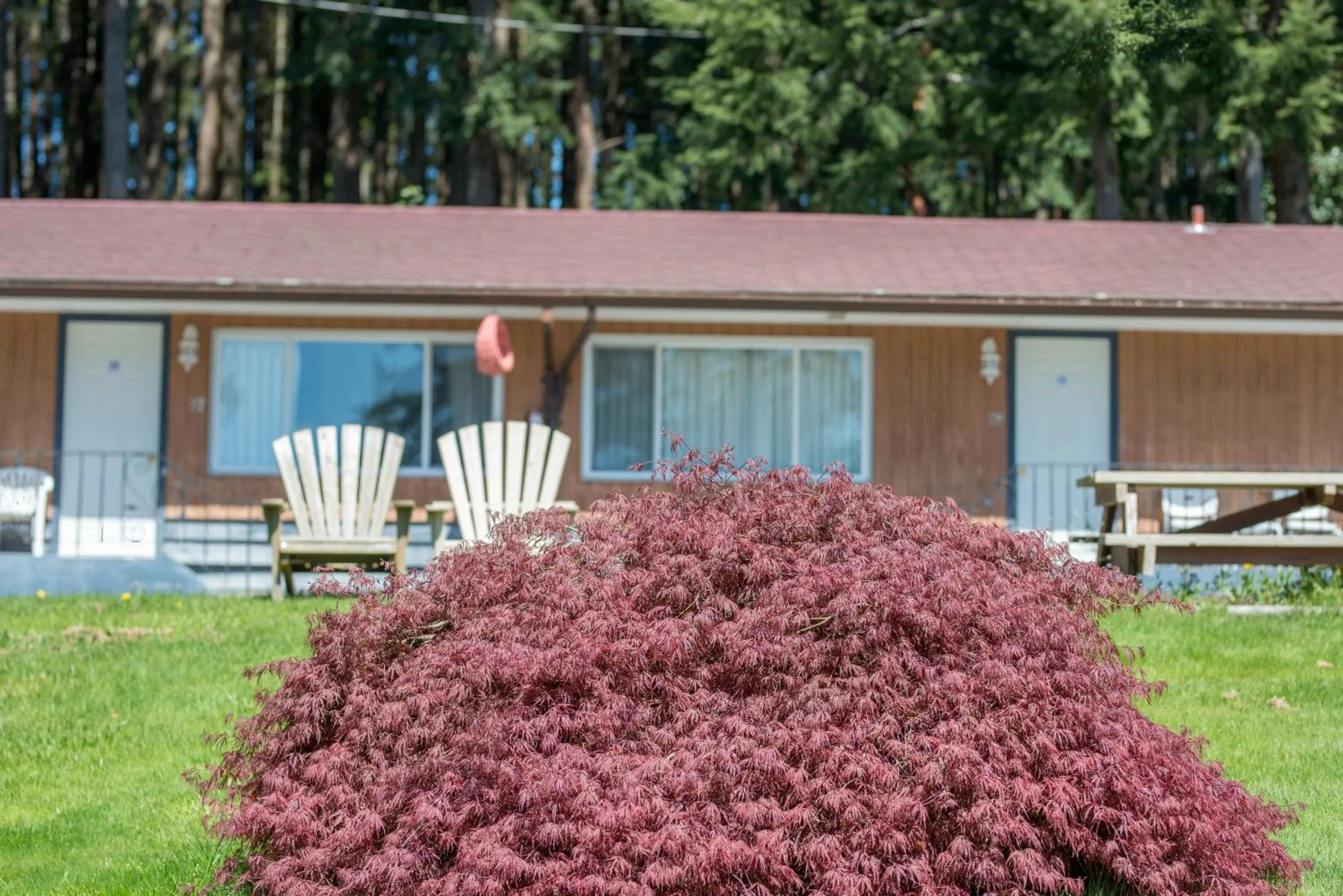 Garden view in Seaside Villa Motel & RV Park