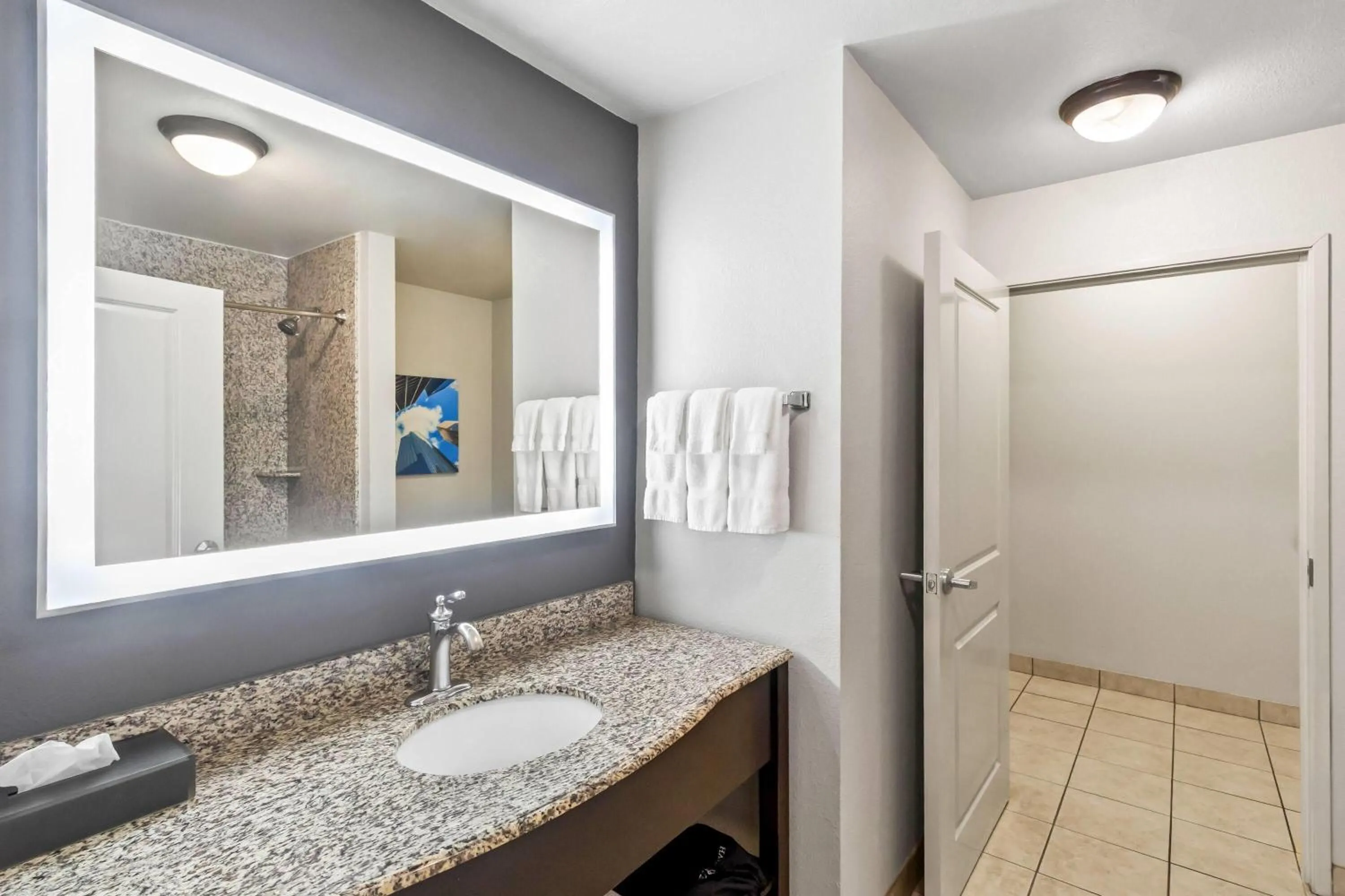 Bathroom in La Quinta by Wyndham Houston Energy Corridor