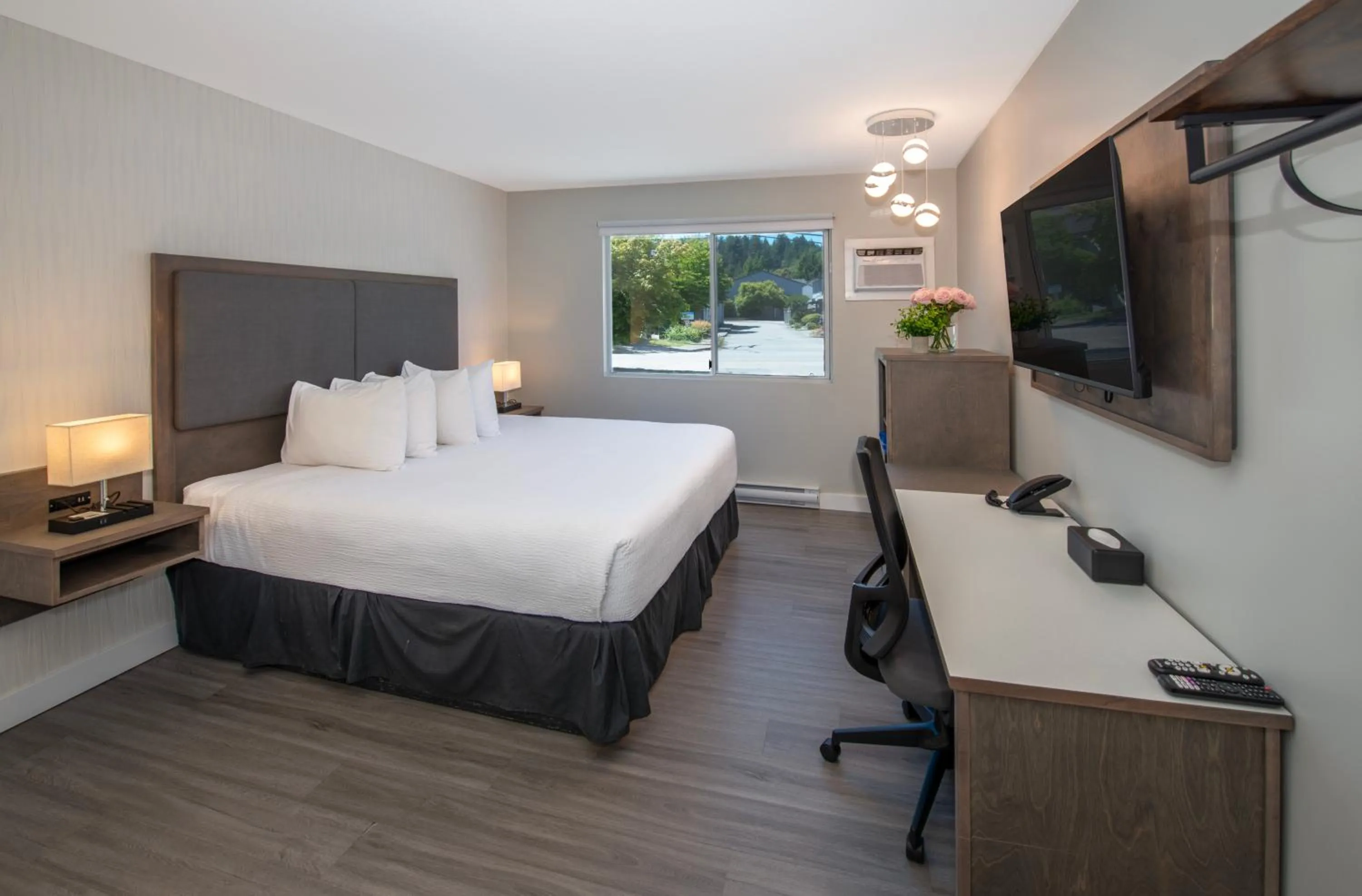 Guests, Bed in The Spot at Porpoise Bay