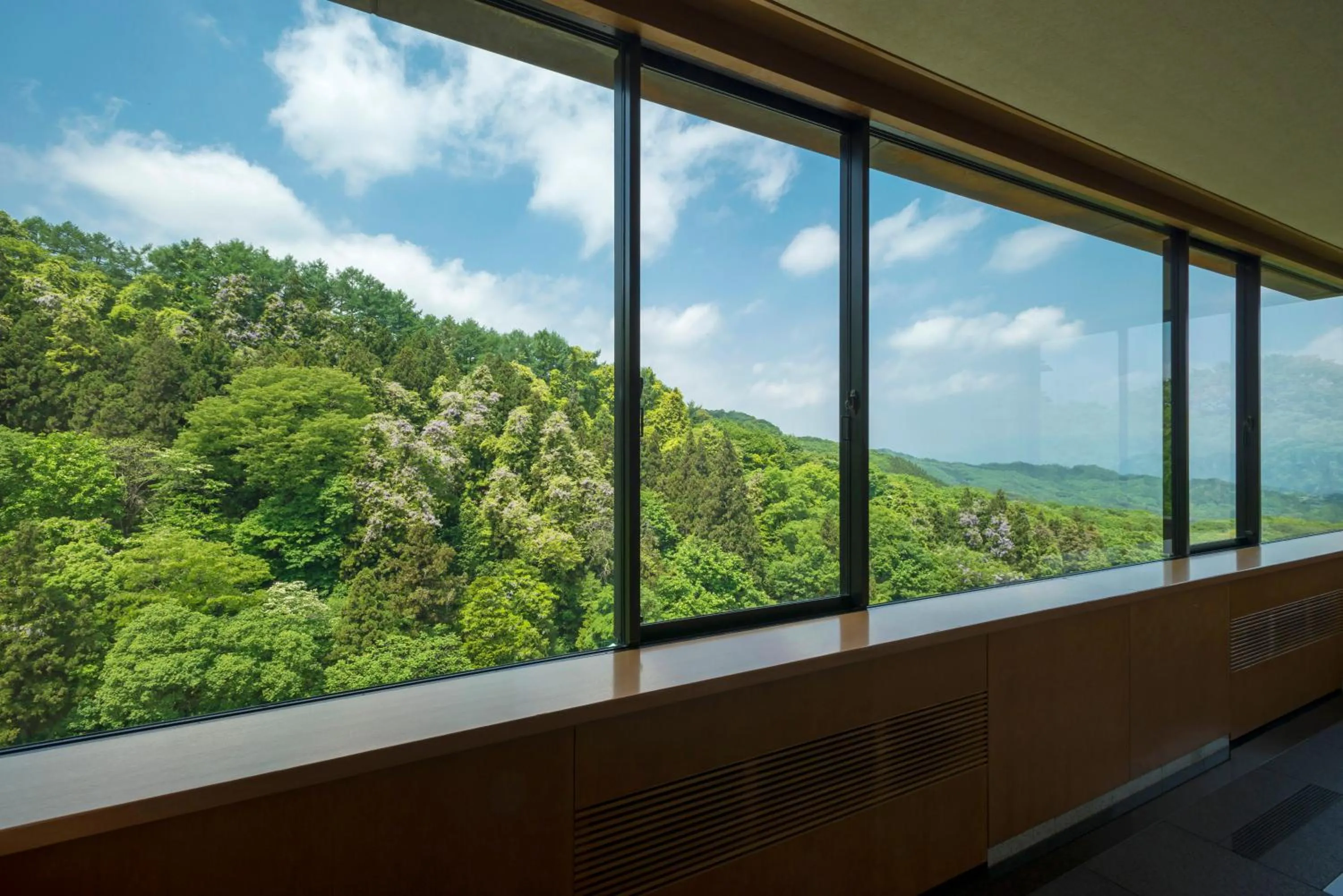 Mountain view in Fukuichi