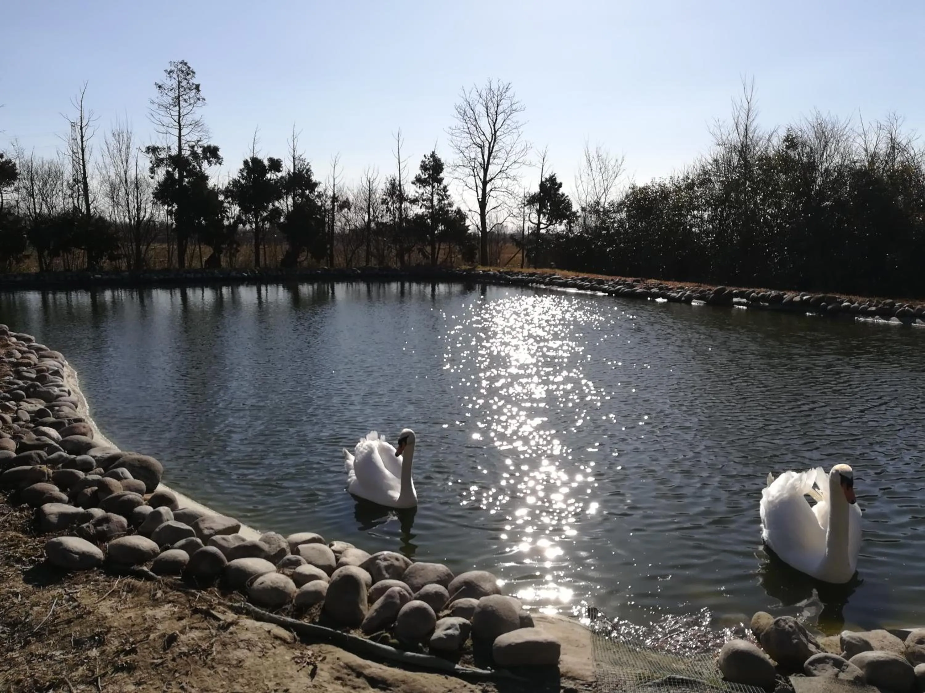 Natural landscape in B&B Villa dei Cigni Reali