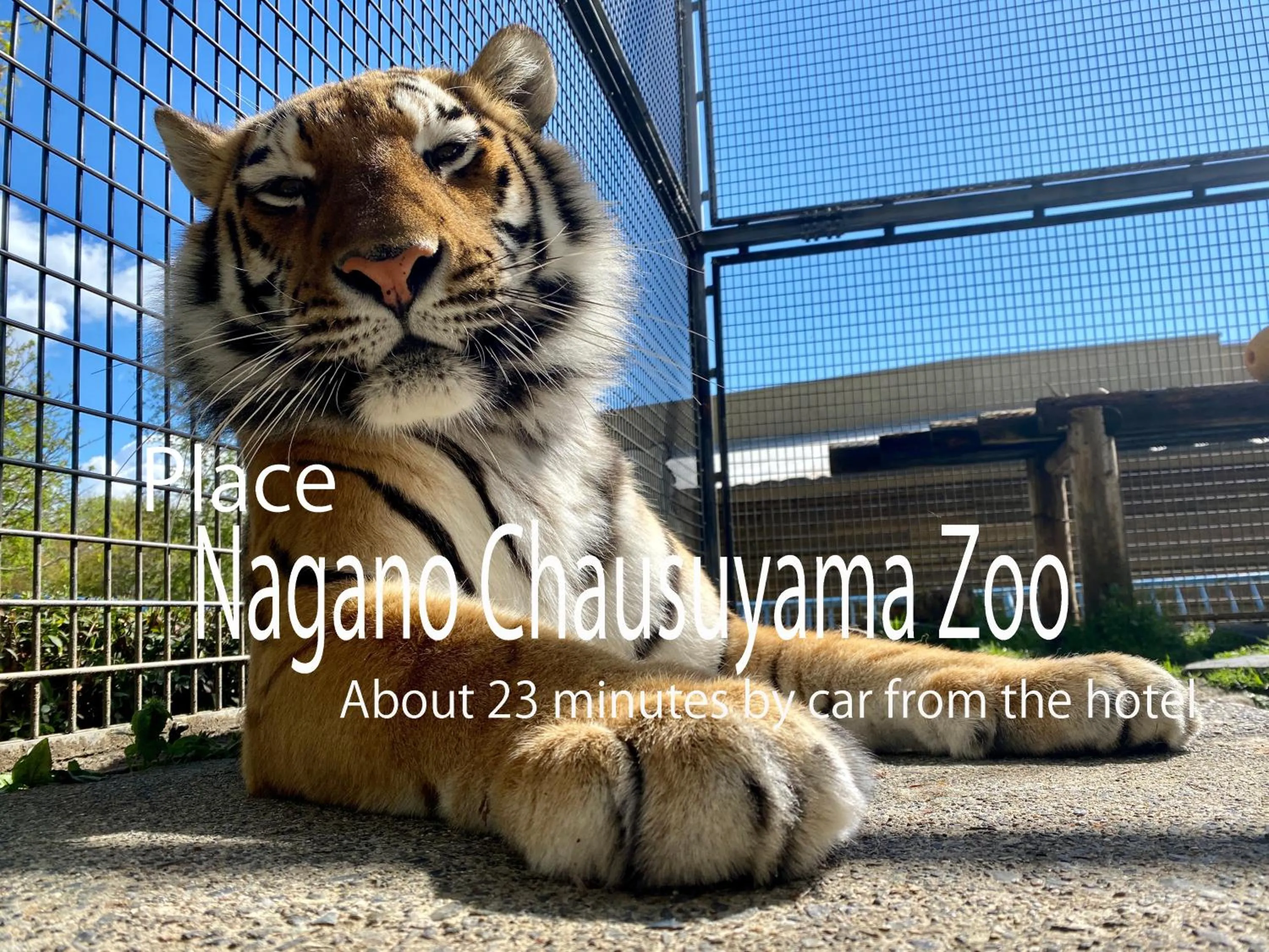 Nearby landmark, Property Logo/Sign in Royal Hotel NAGANO