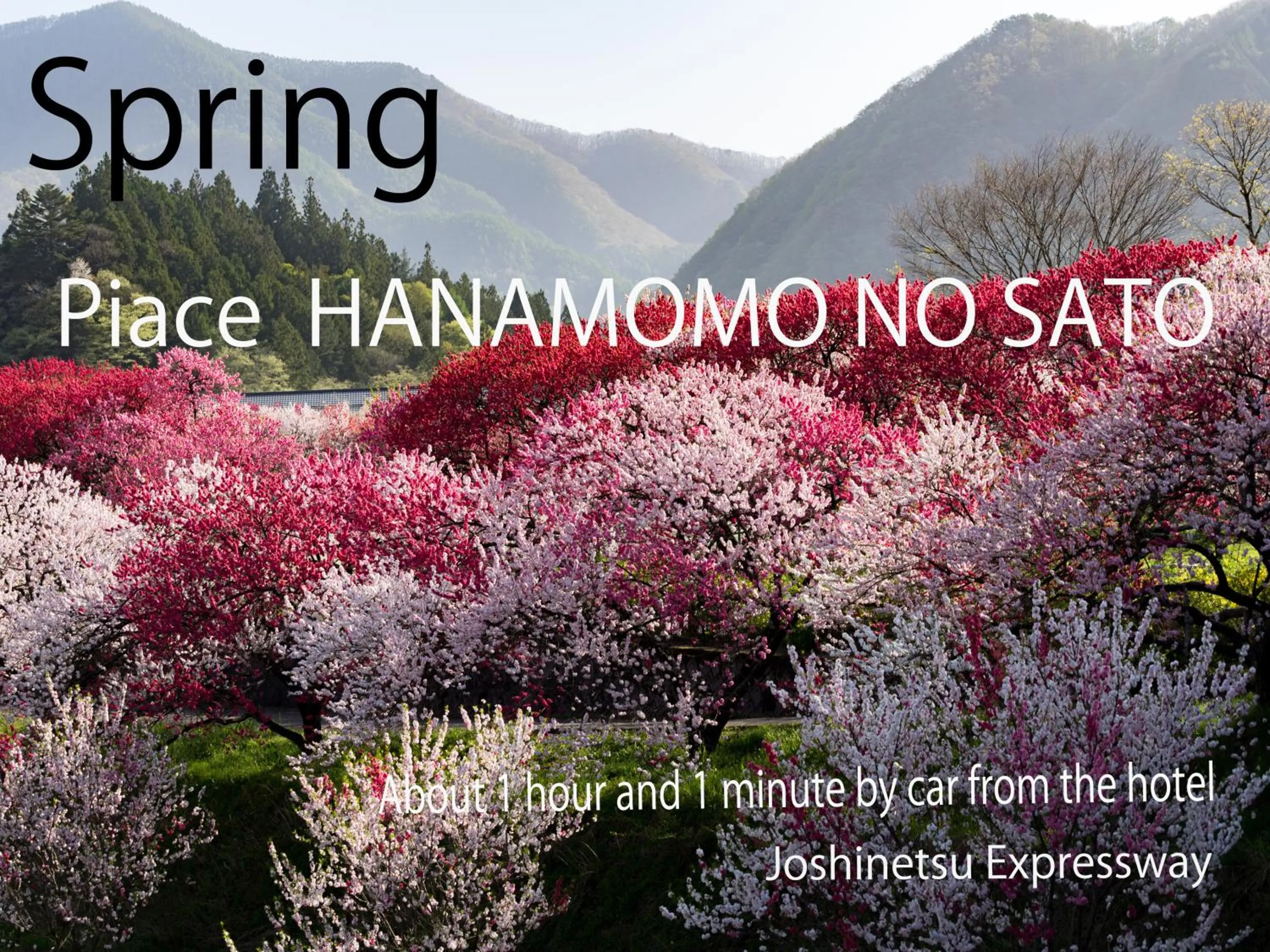 Nearby landmark in Royal Hotel NAGANO