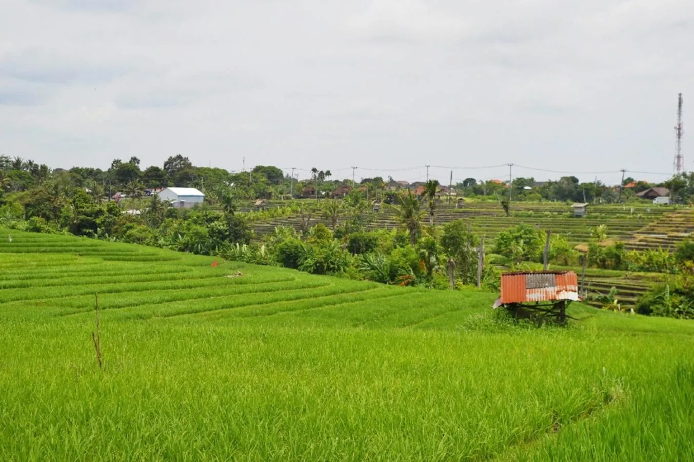 Natural landscape in The Bali Dream Villa & Resort Echo Beach Canggu