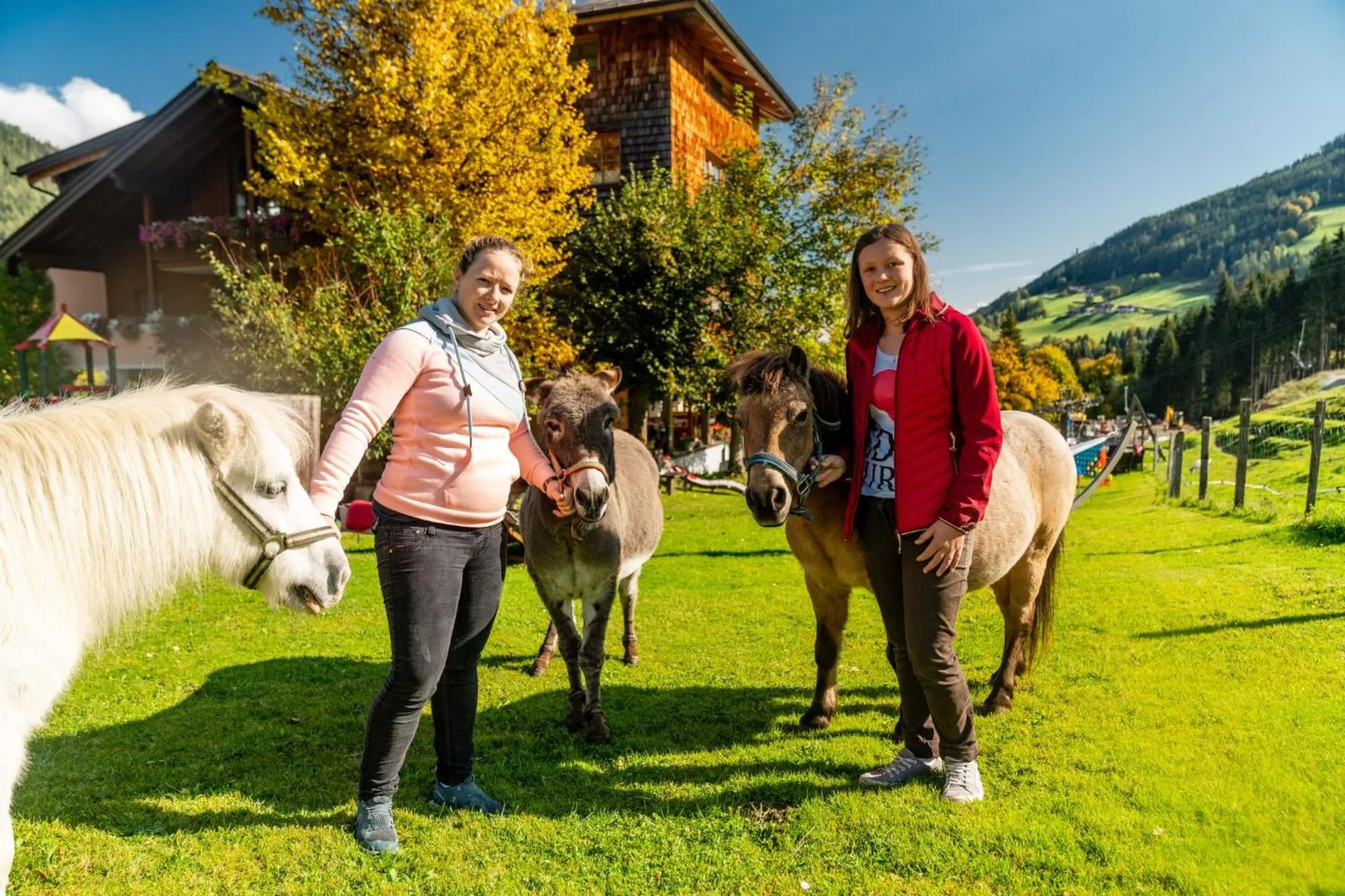 Horse-riding in Familienhotel Unterreith