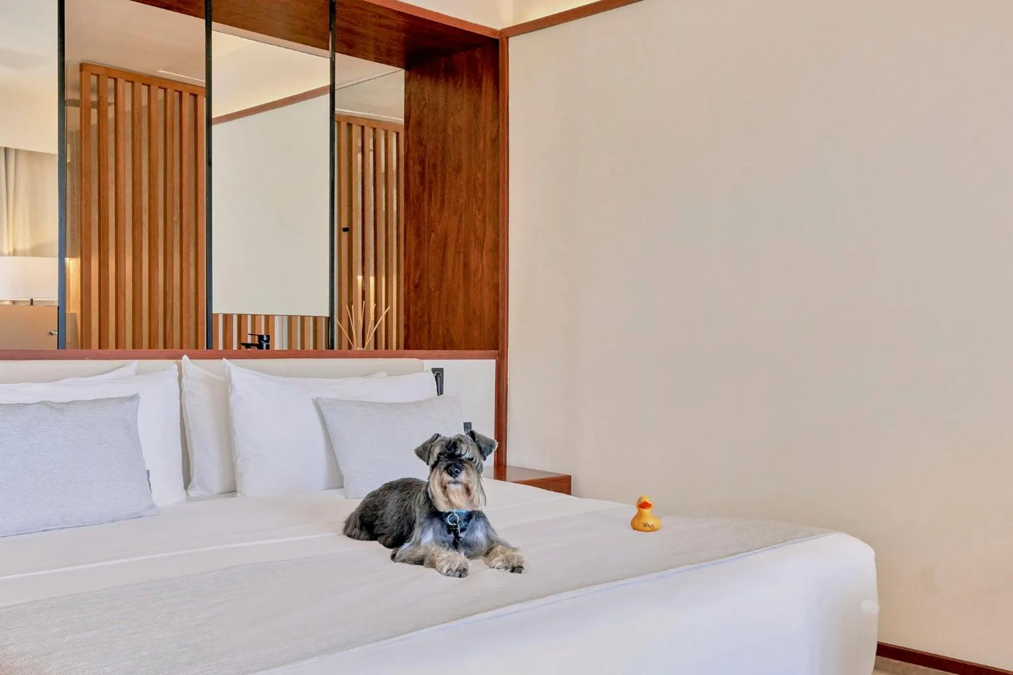 Photo of the whole room, Bed in Live Aqua Punta Cana - All Inclusive - Adults Only