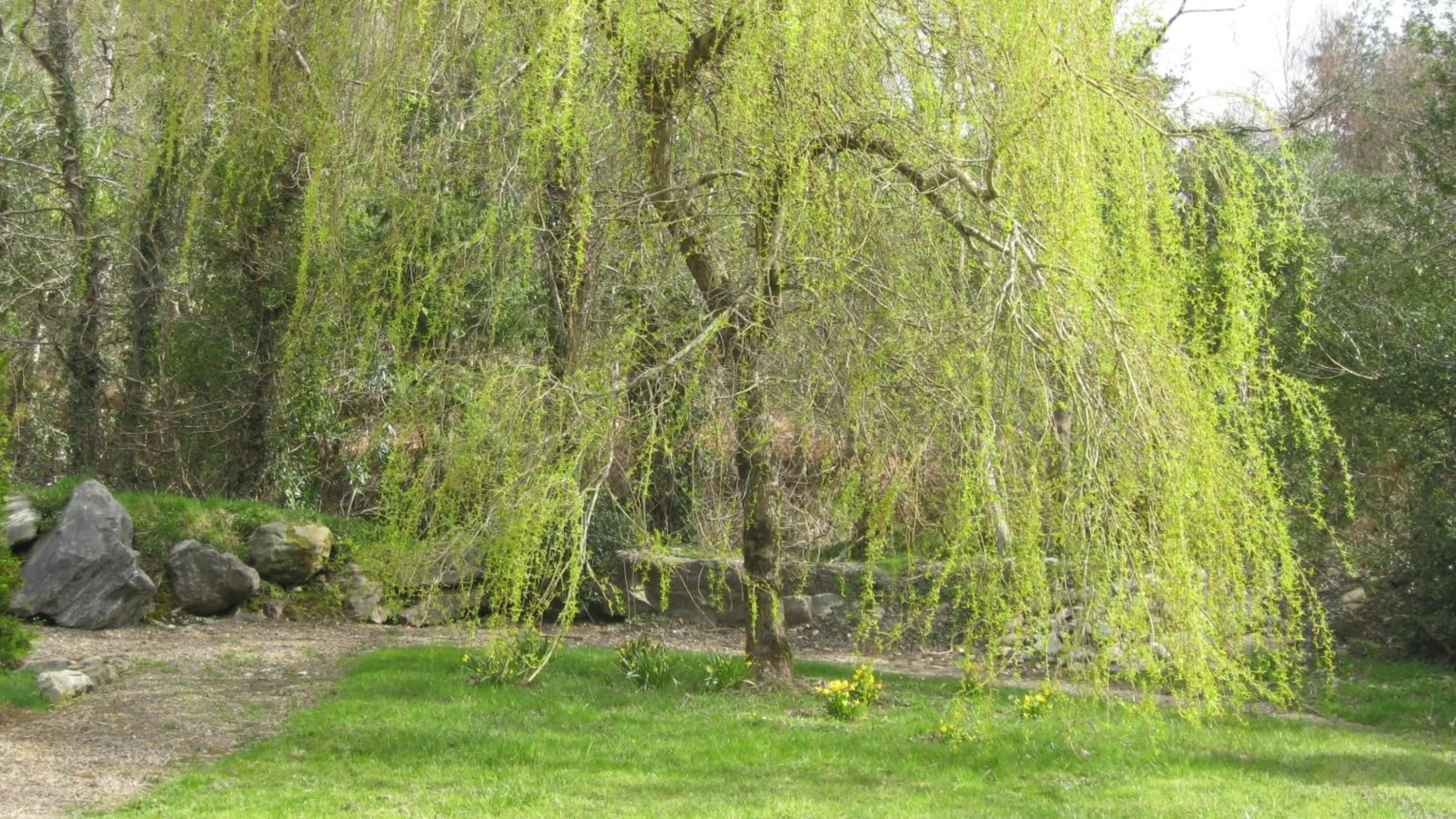 Property building in An Bruachan B&B