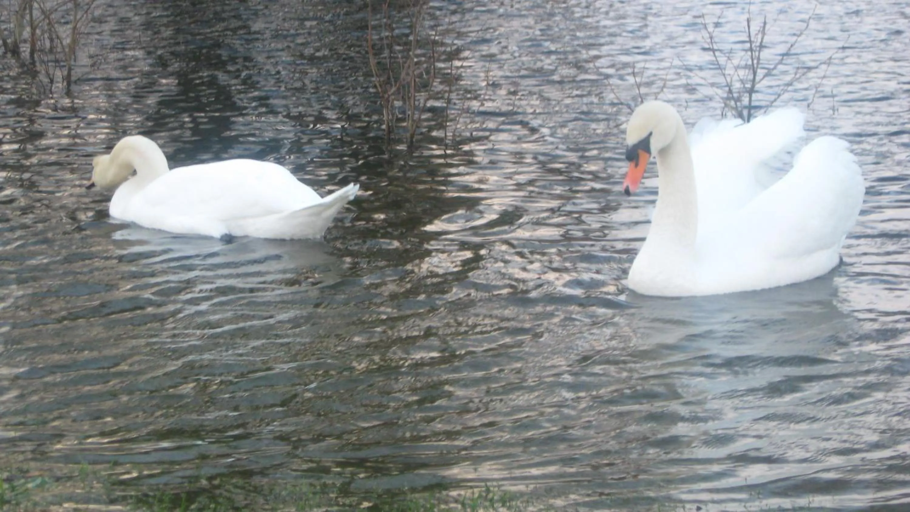 Off site in An Bruachan B&B