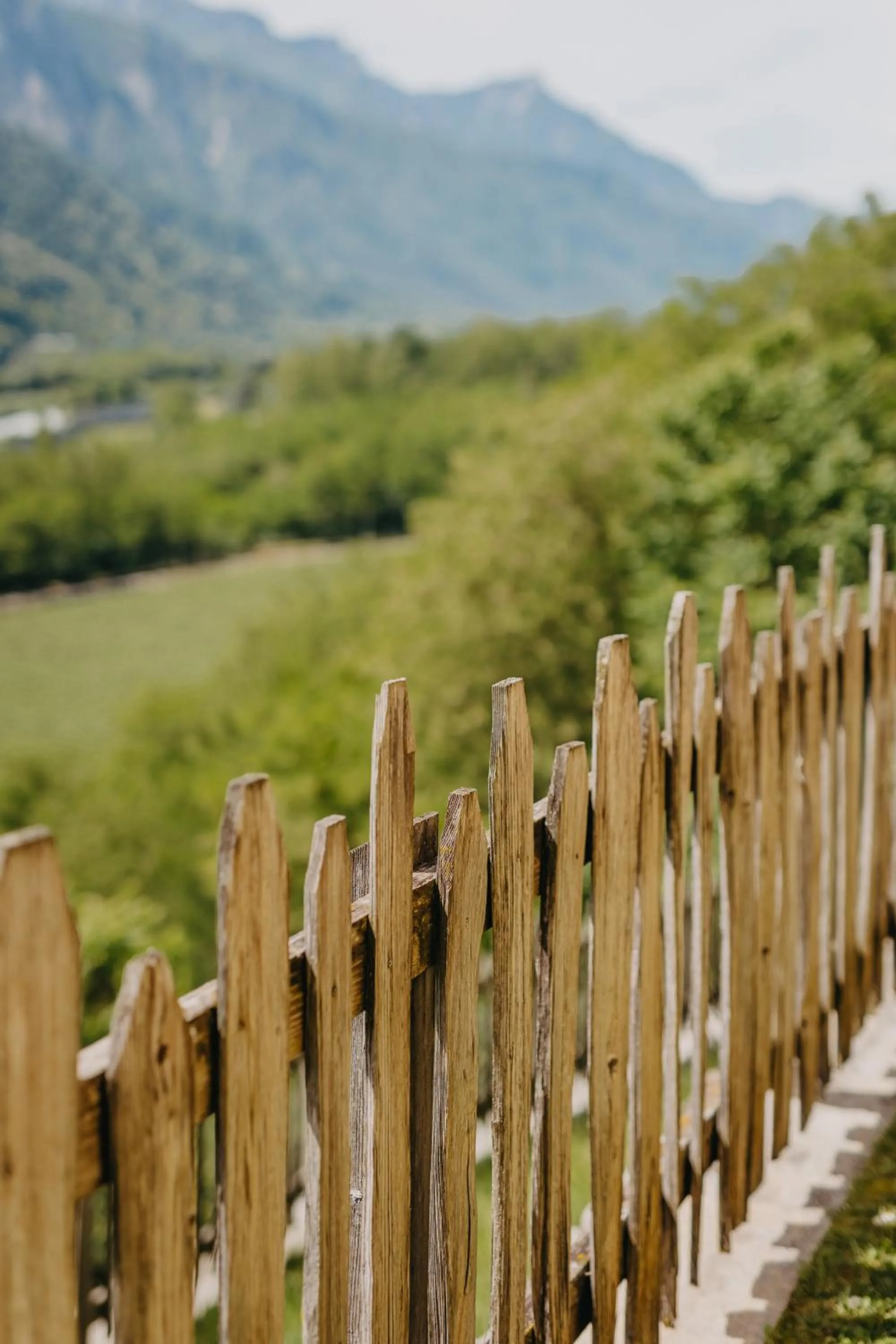 Spring in Coronata Haus