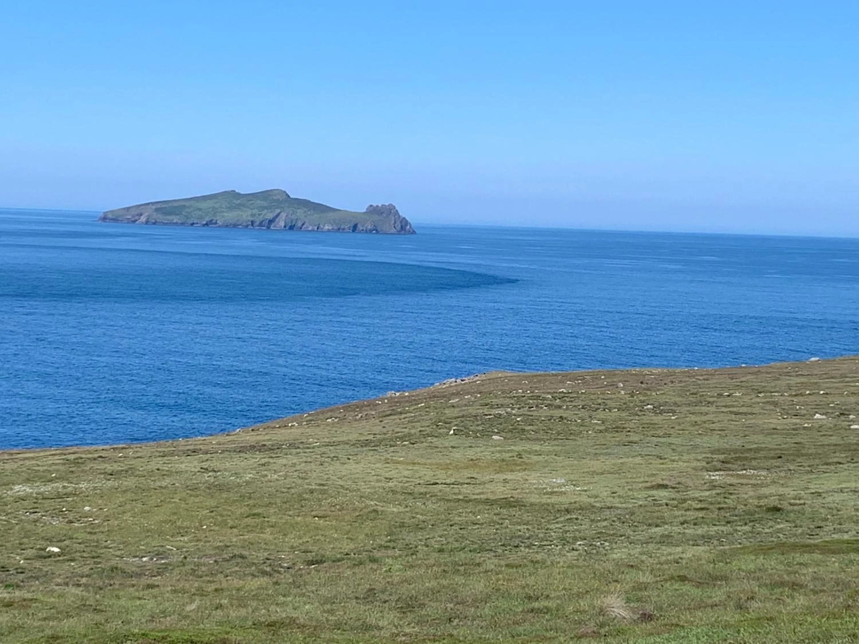 Natural landscape in Brownes