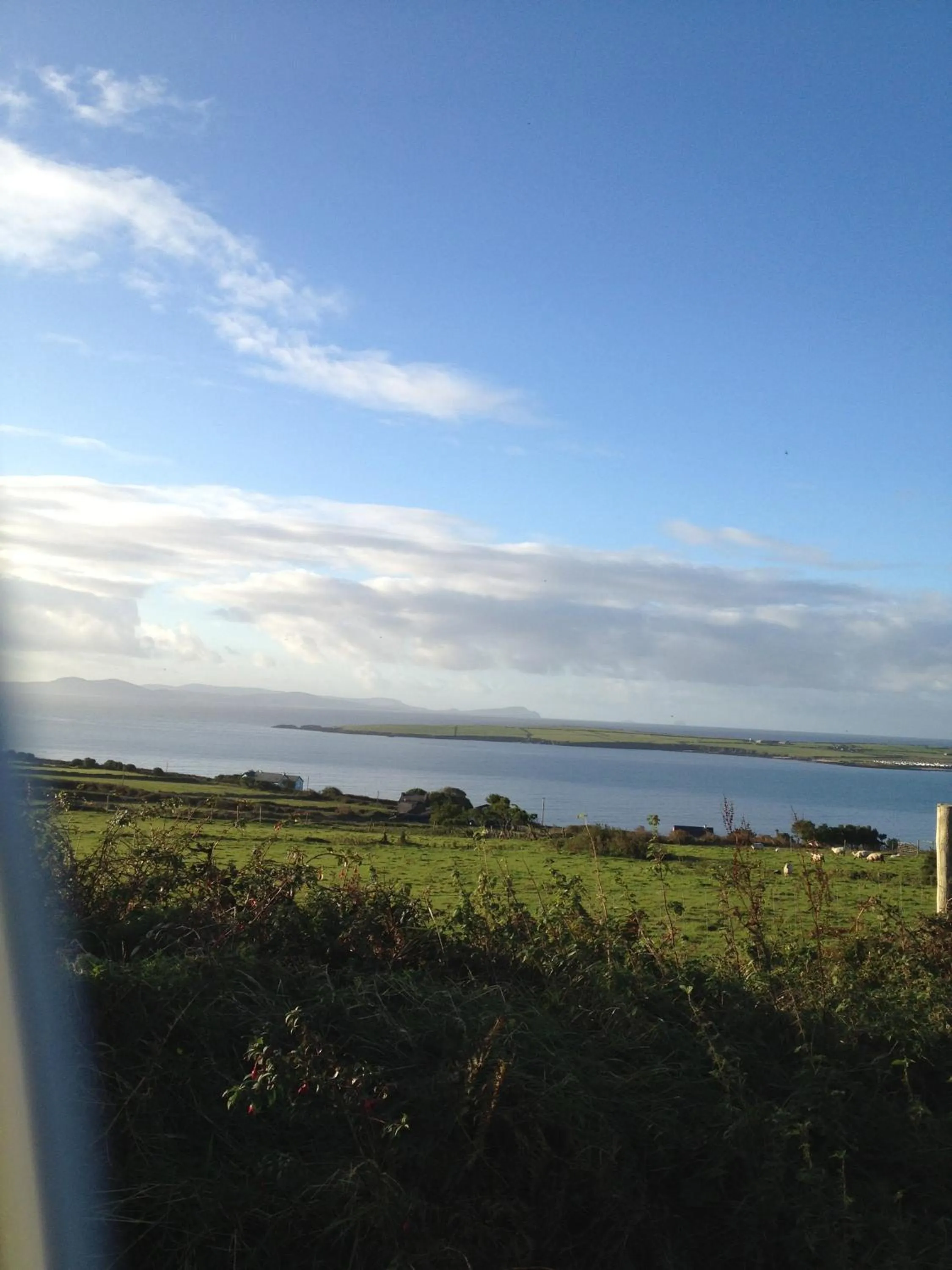 View (from property/room) in Brownes