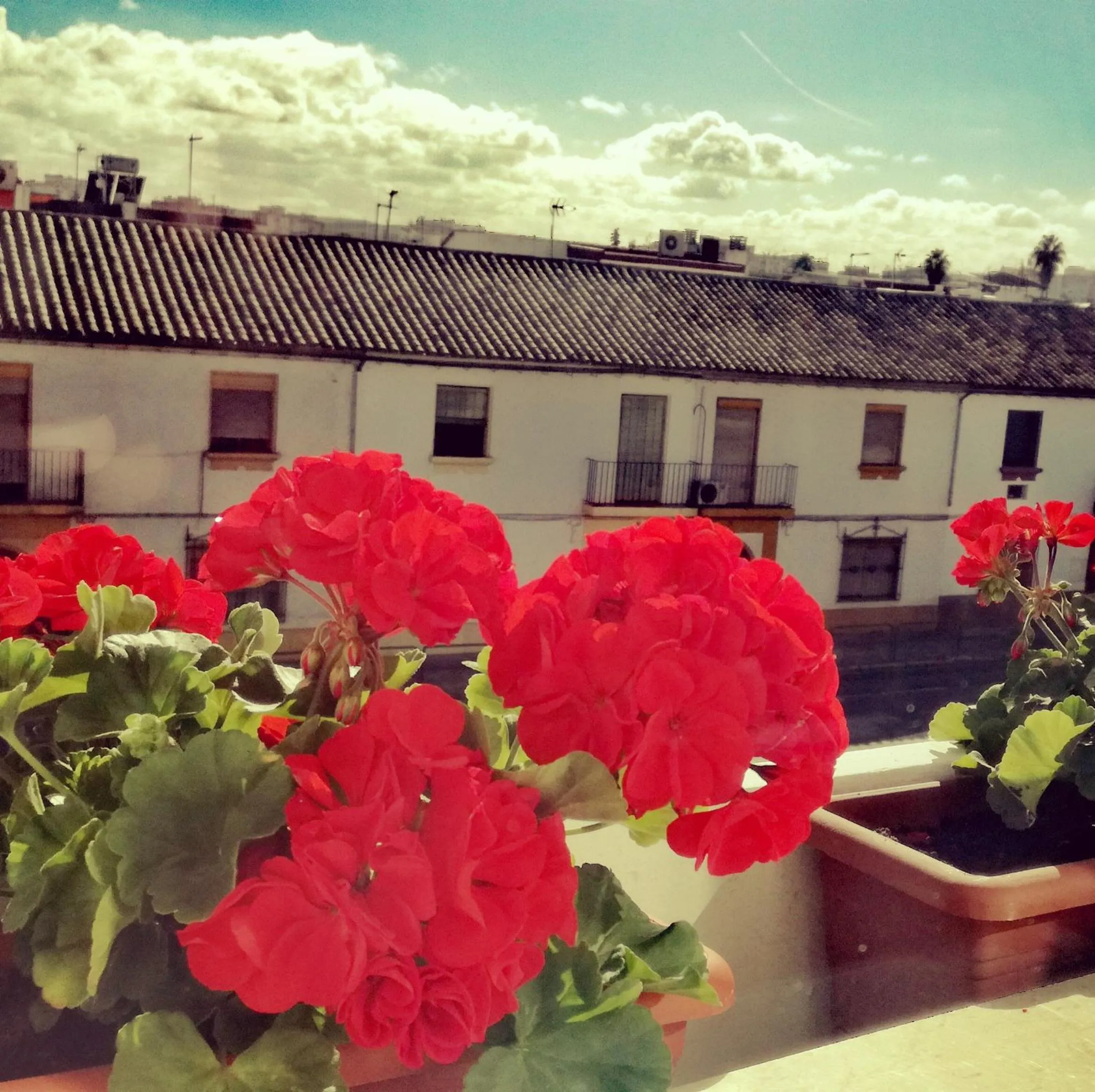 Property building in Hotel Abadi