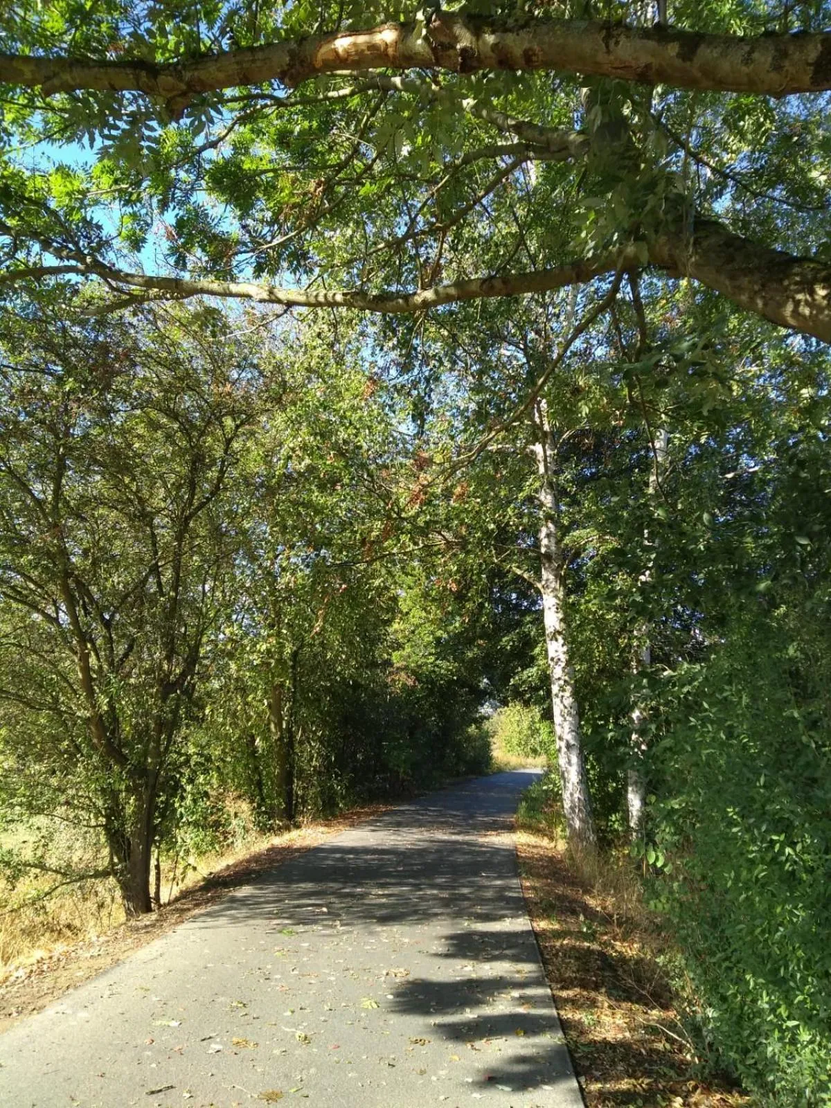 Natural landscape in Art & Nature Apartments in der Nähe FFM-Messe