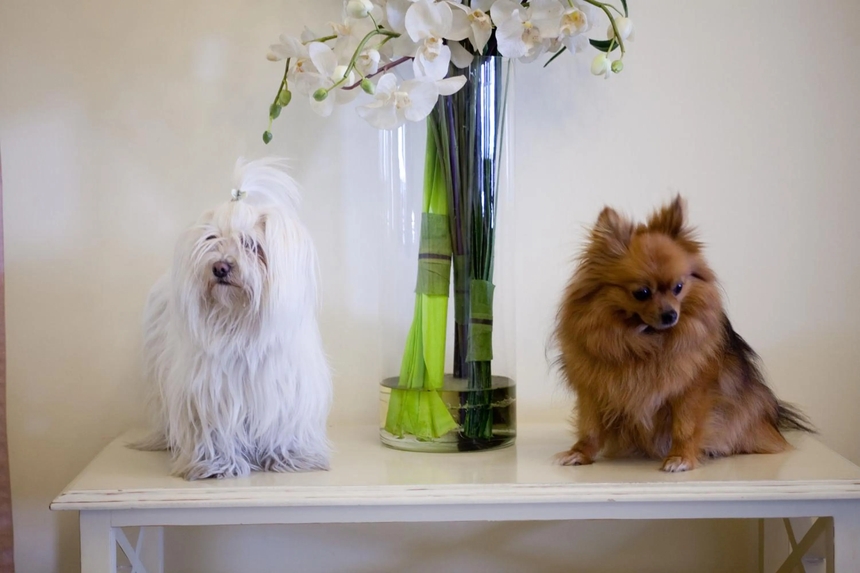 Lobby or reception in Hotel Speranza