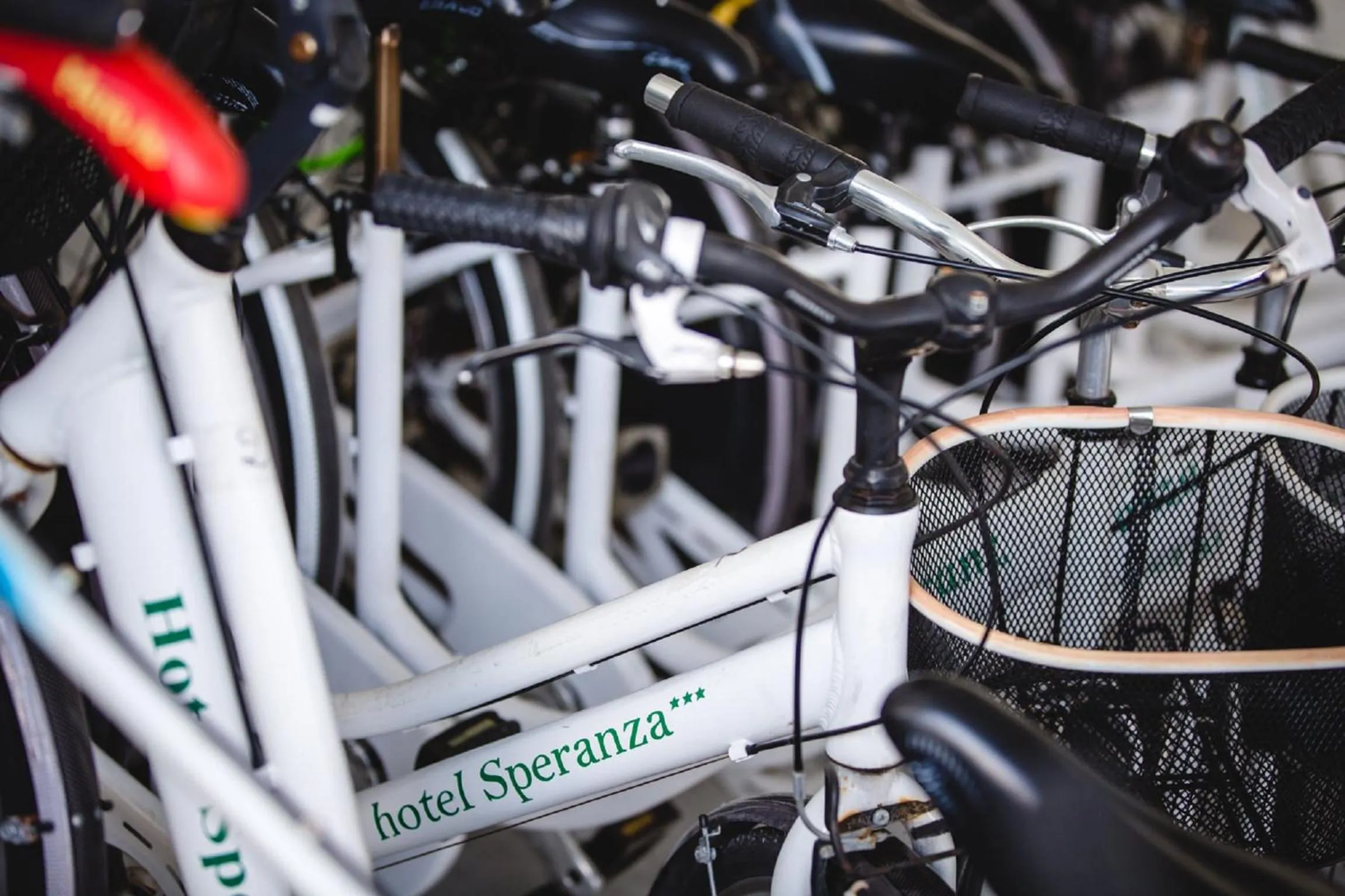 Cycling in Hotel Speranza