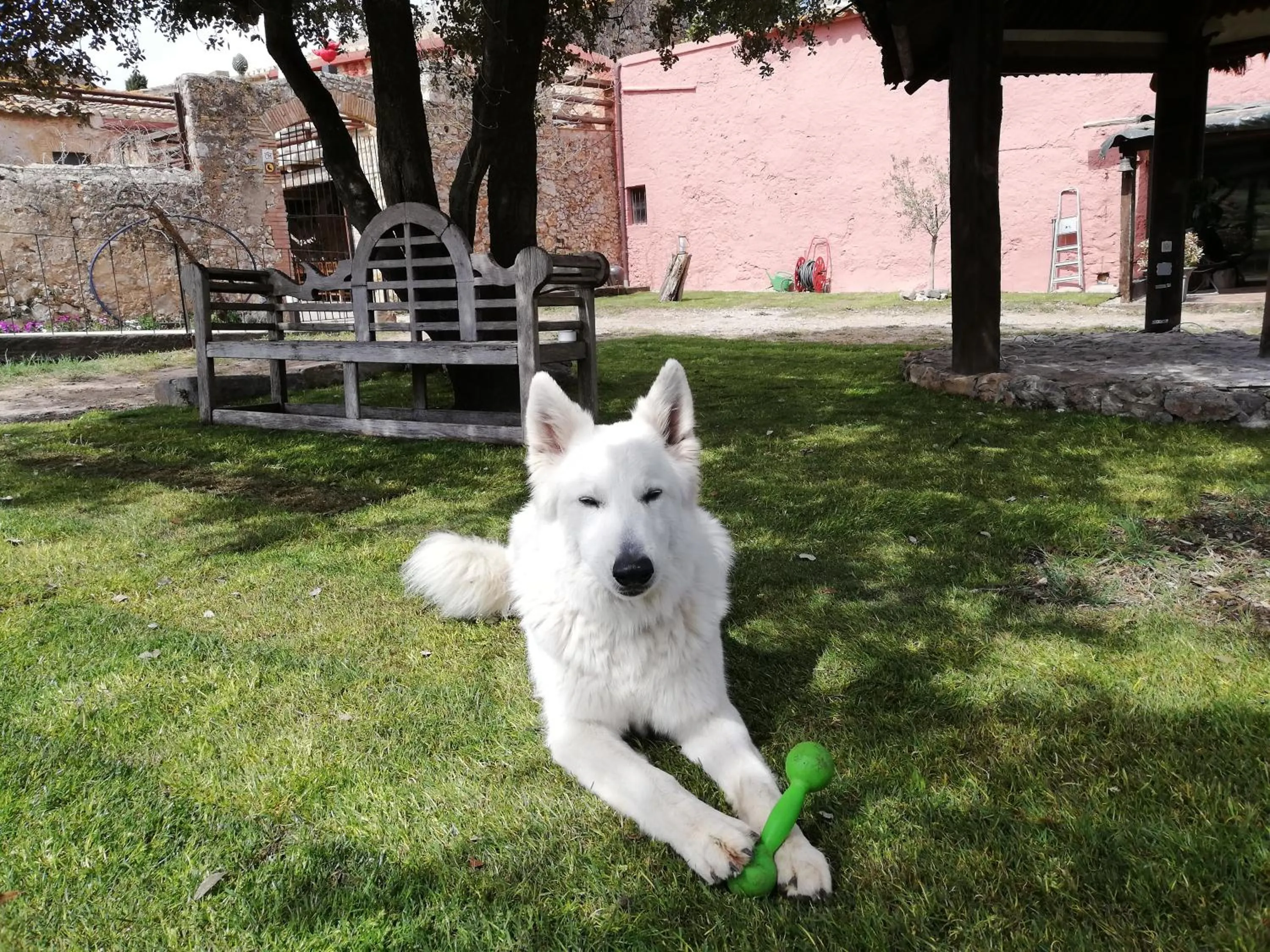 Garden in Mas Del Llop Blanc - Dog friendly Hostal Rural - B&B