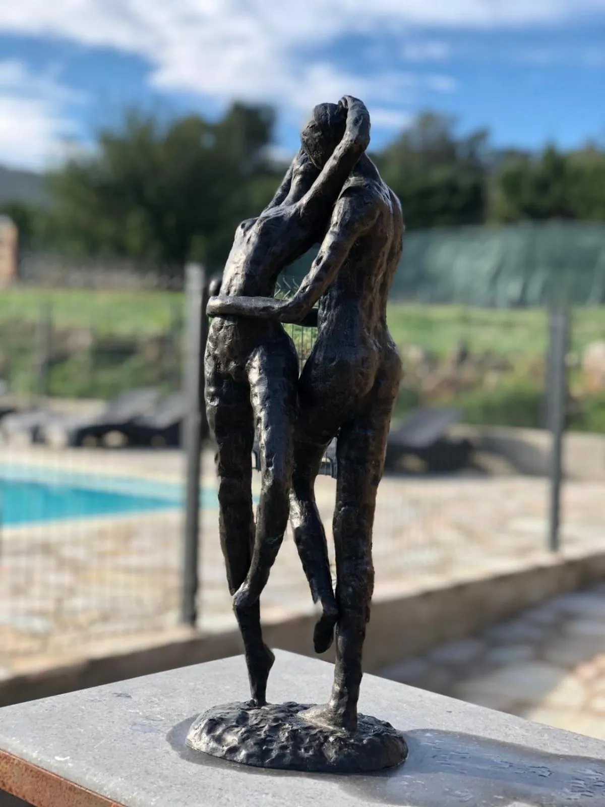 Swimming pool in Mas Del Llop Blanc - Dog friendly Hostal Rural - B&B