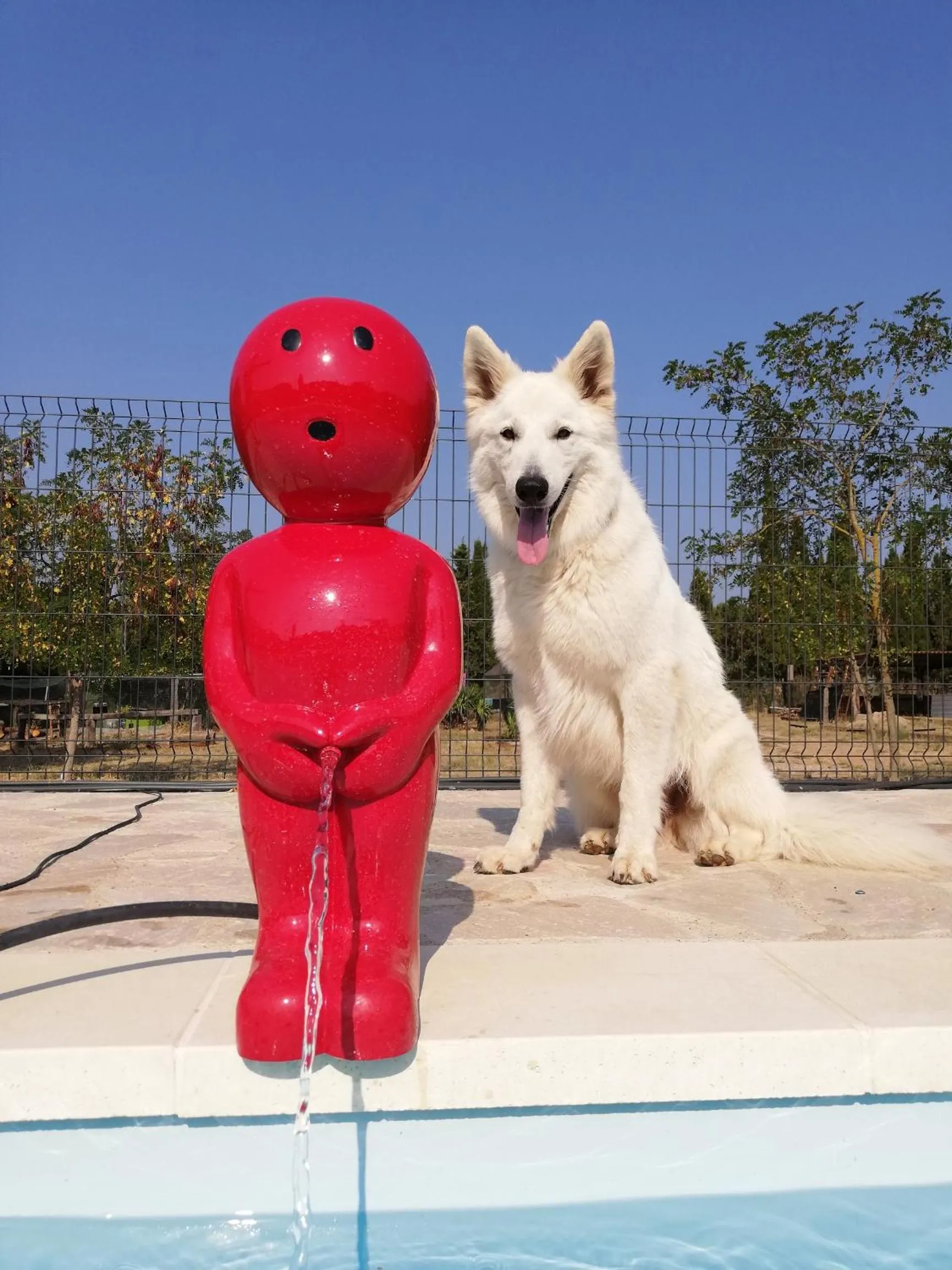 Animals in Mas Del Llop Blanc - Dog friendly Hostal Rural - B&B