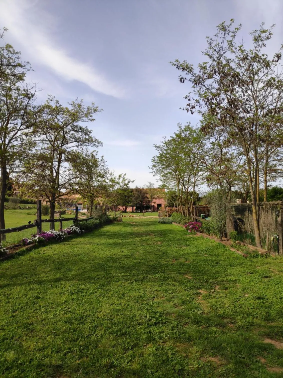 Garden in Mas Del Llop Blanc - Dog friendly Hostal Rural - B&B