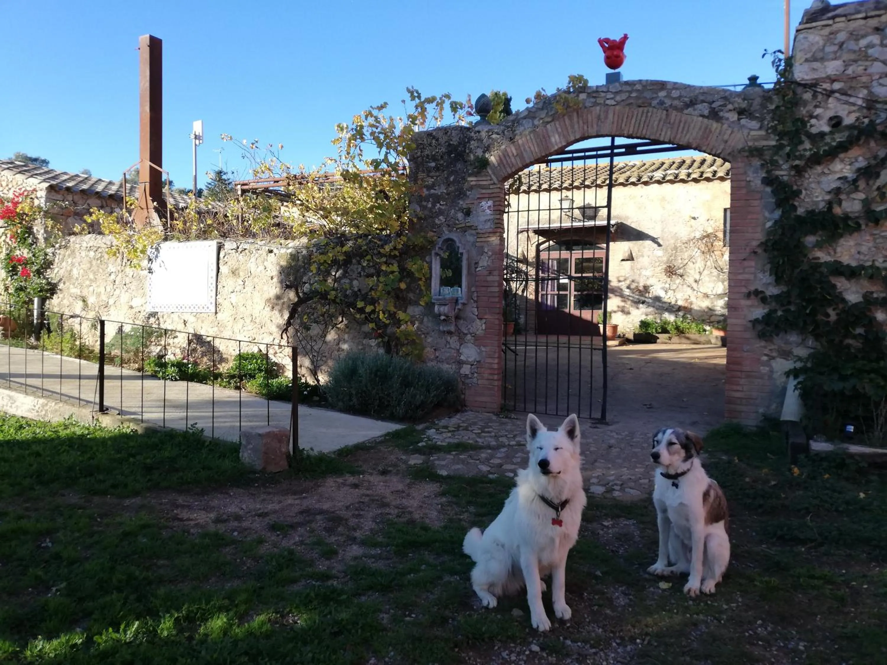 Mas Del Llop Blanc - Dog friendly Hostal Rural - B&B
