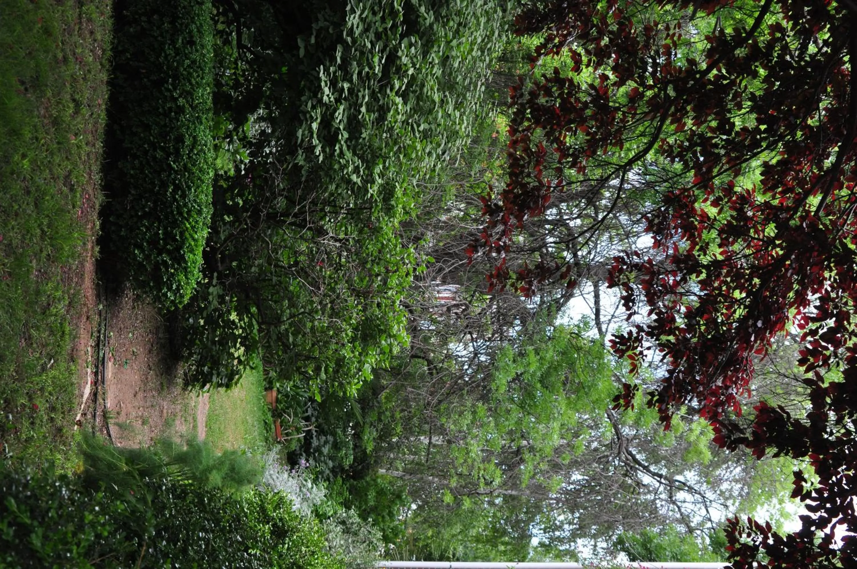 Holmhurst Guest House