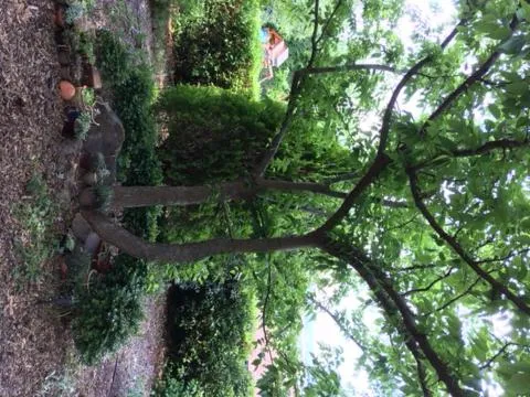 Holmhurst Guest House