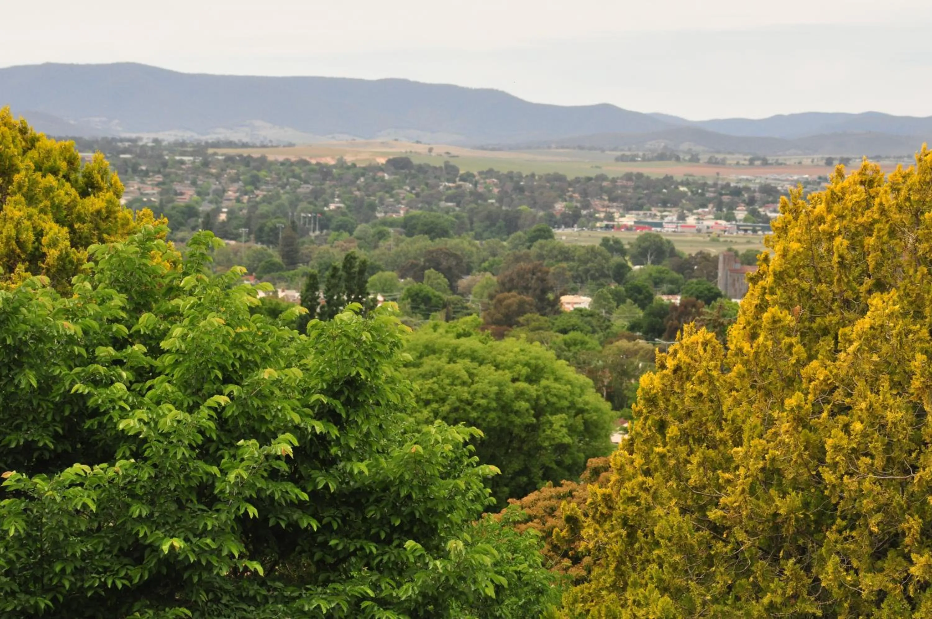 Holmhurst Guest House