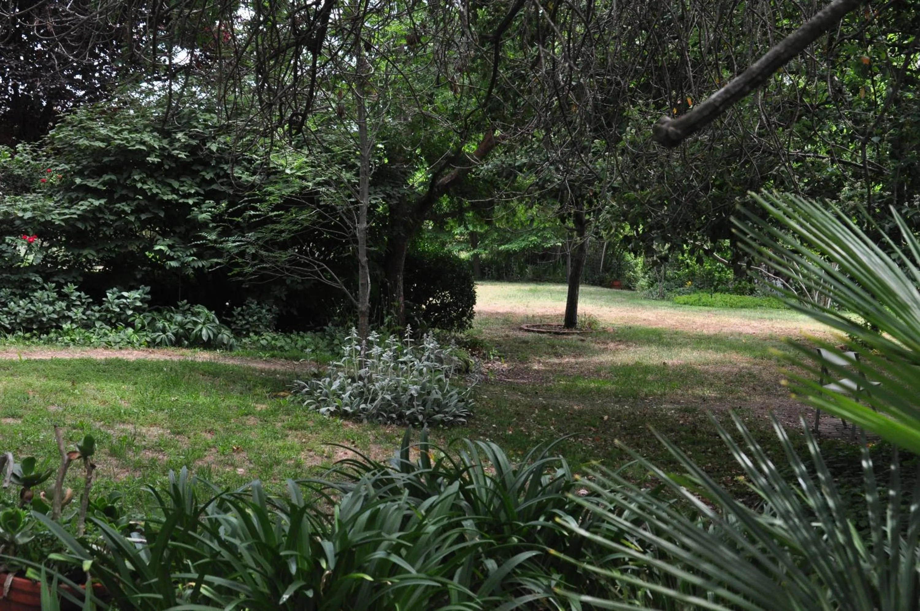 Holmhurst Guest House