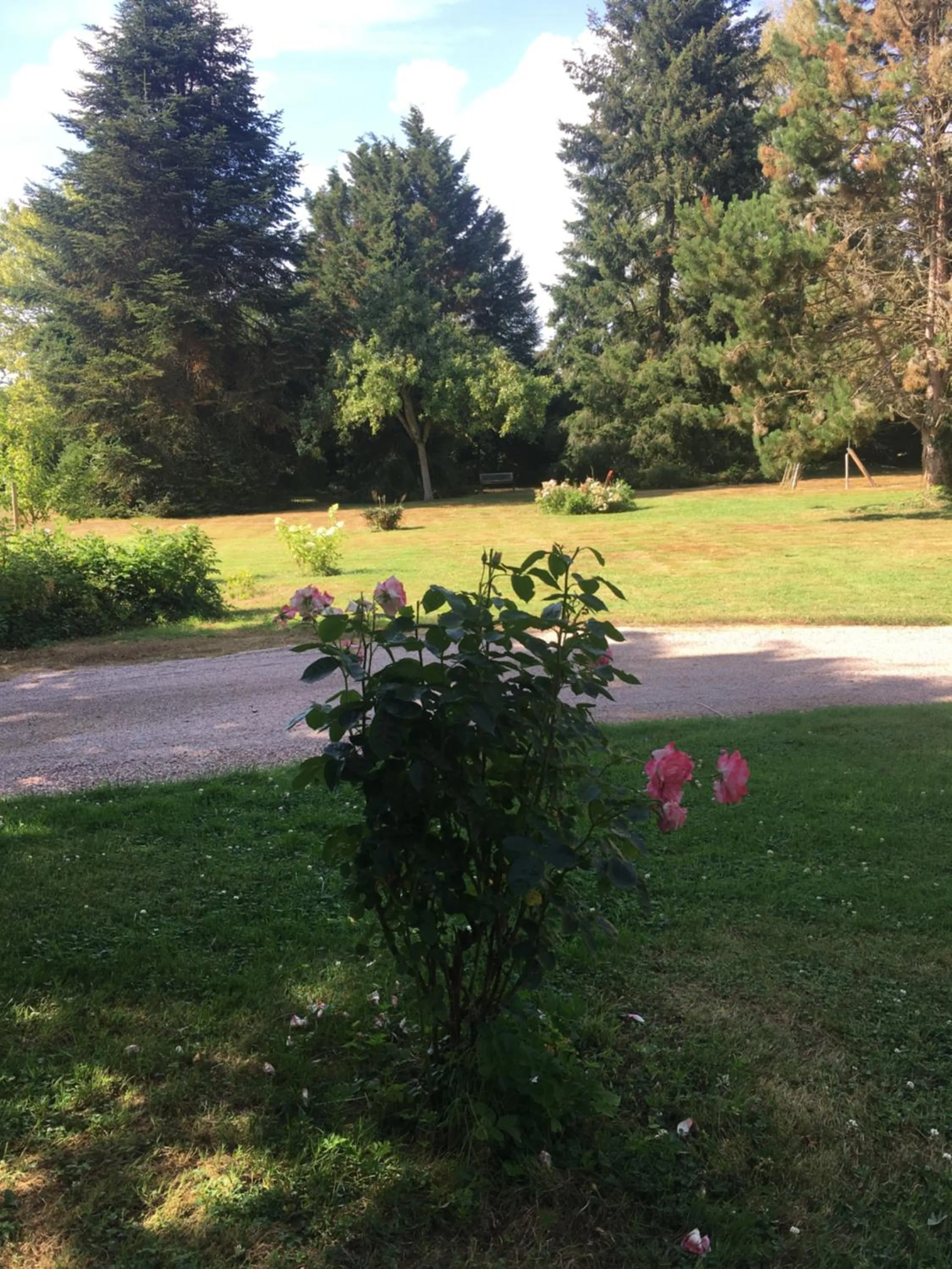Garden in AU CHARME DES POMMIERS