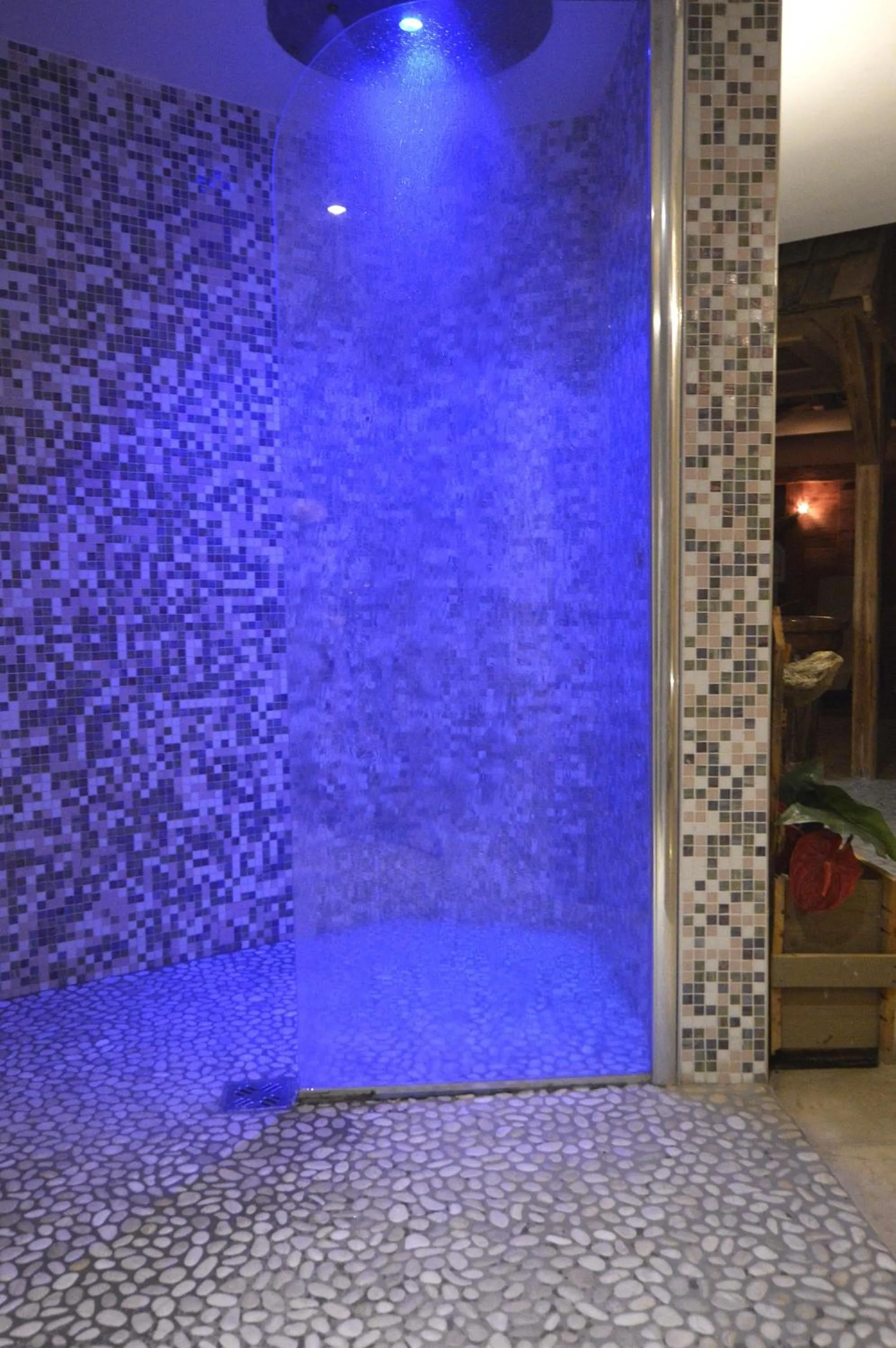 Spa and wellness centre/facilities in Hotel Villa Fosine Spa & Wellness