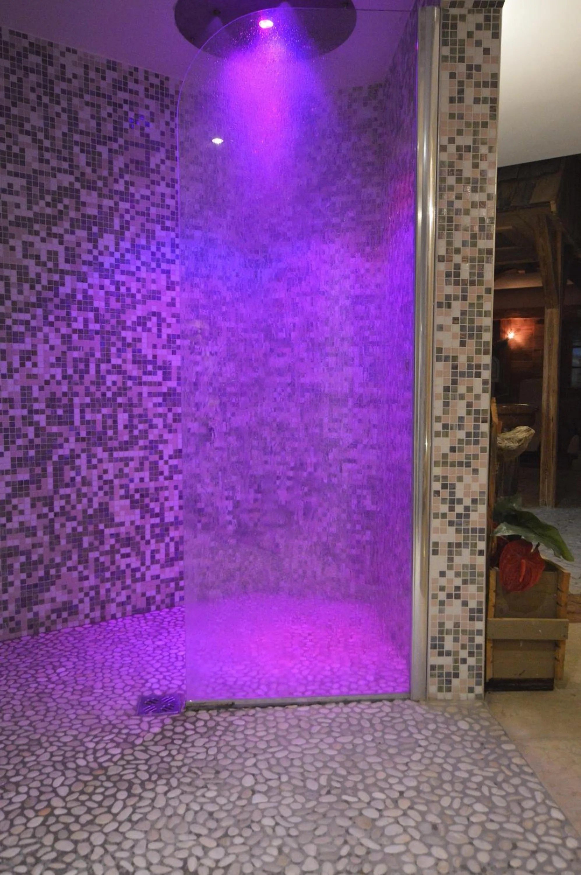 Spa and wellness centre/facilities in Hotel Villa Fosine Spa & Wellness