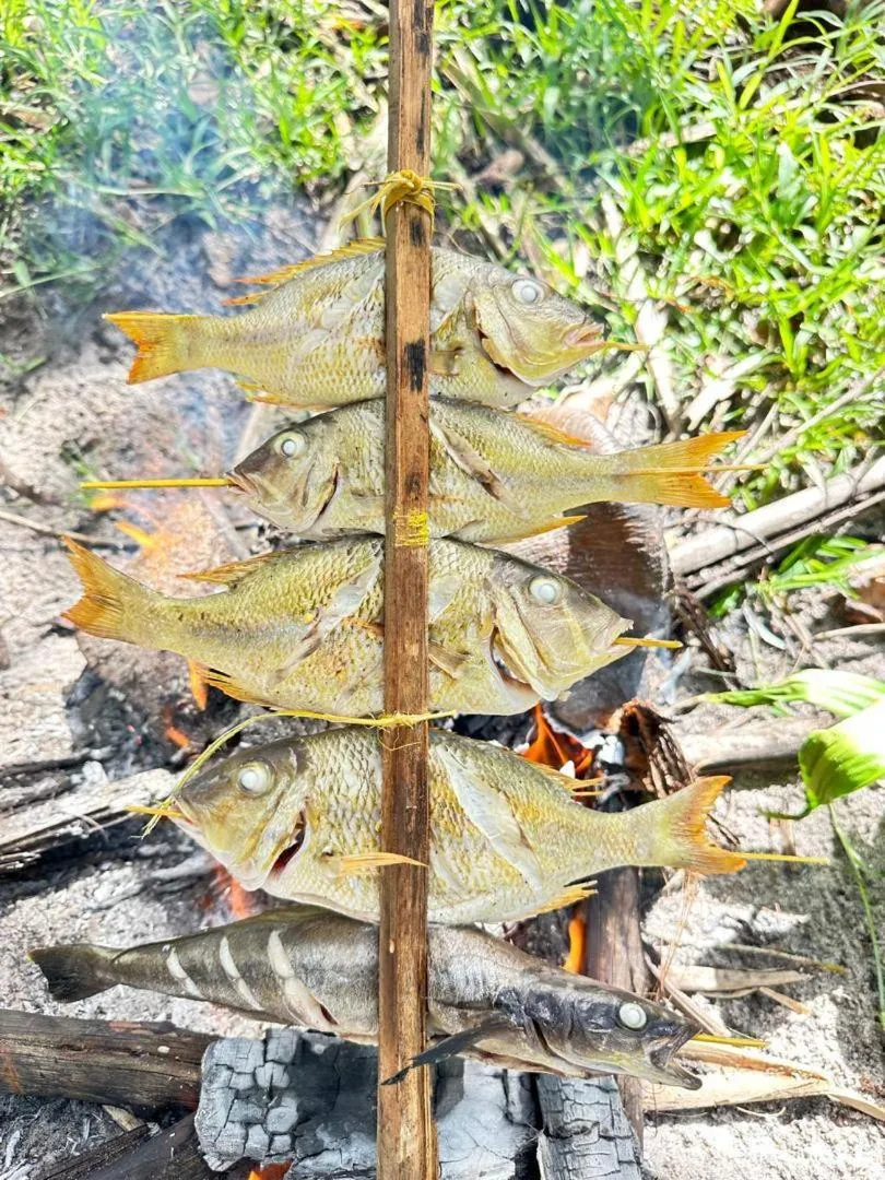 Juani beach bungalows