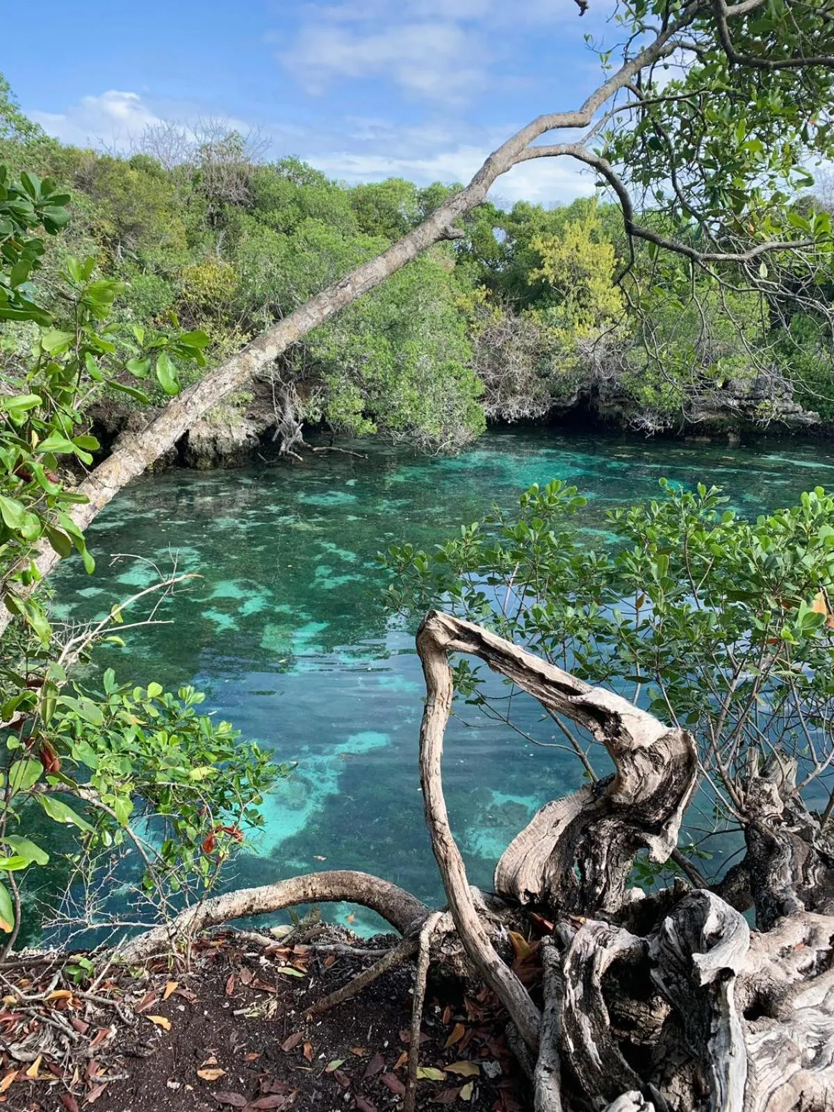 Juani beach bungalows