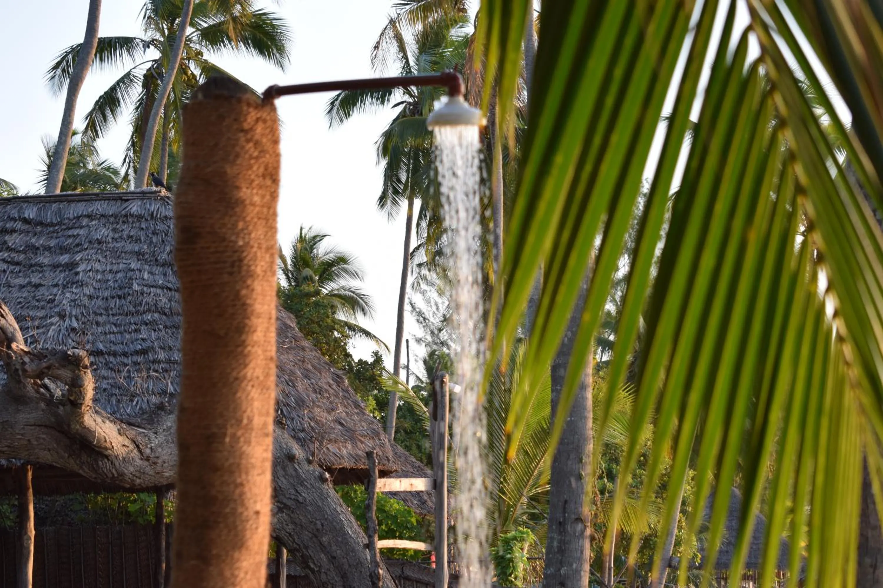 Juani beach bungalows