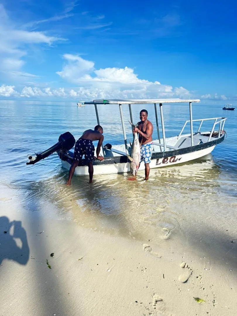 Juani beach bungalows