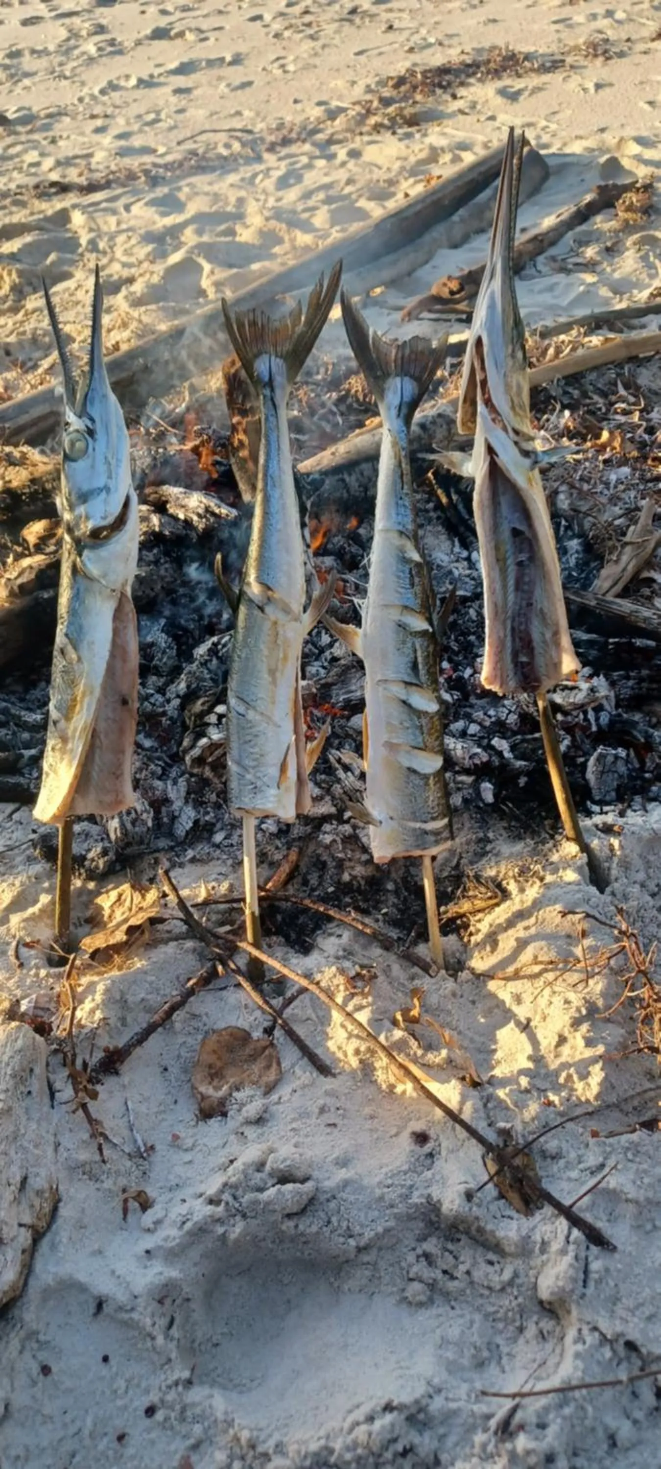 Juani beach bungalows