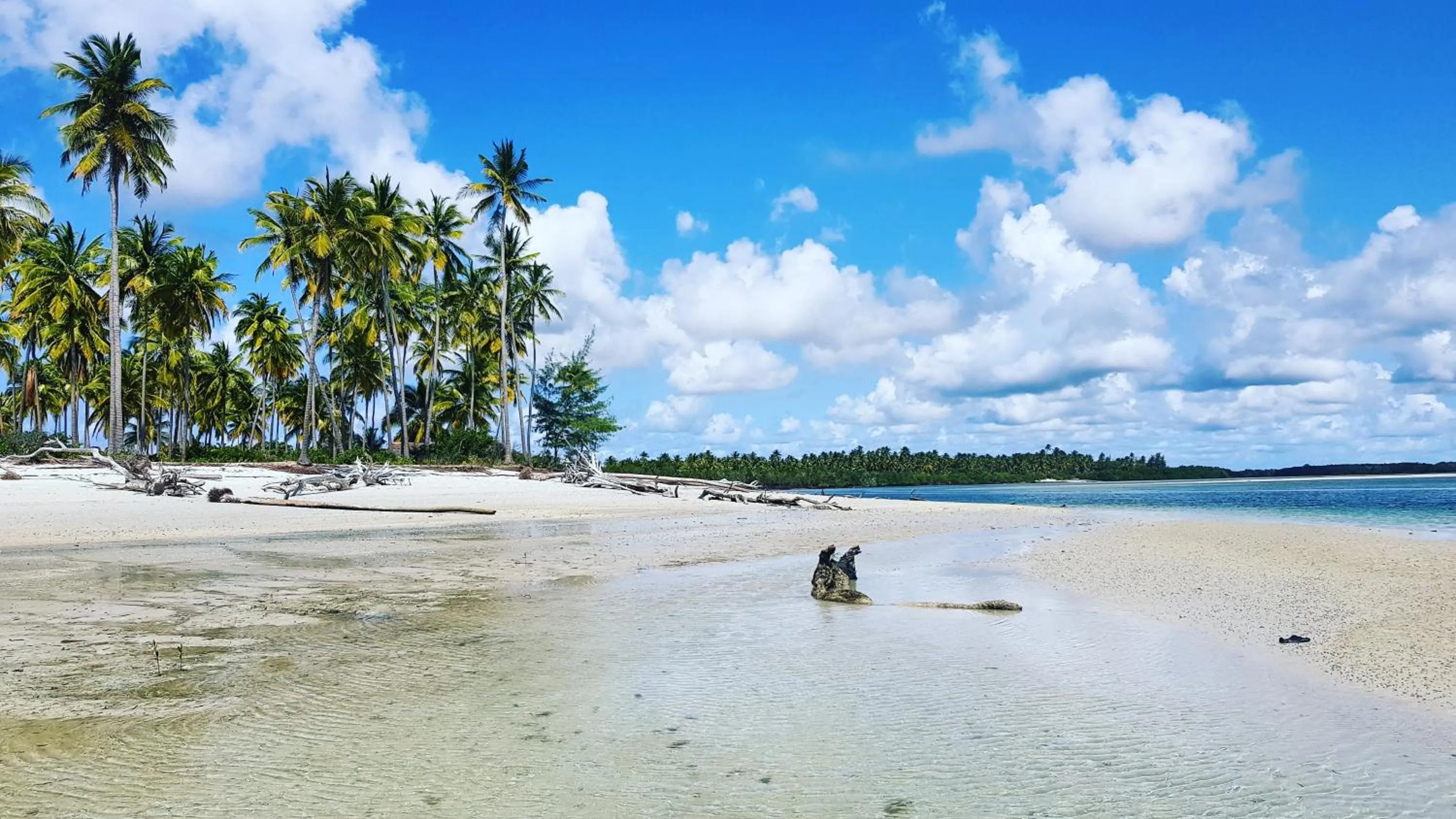 Juani beach bungalows