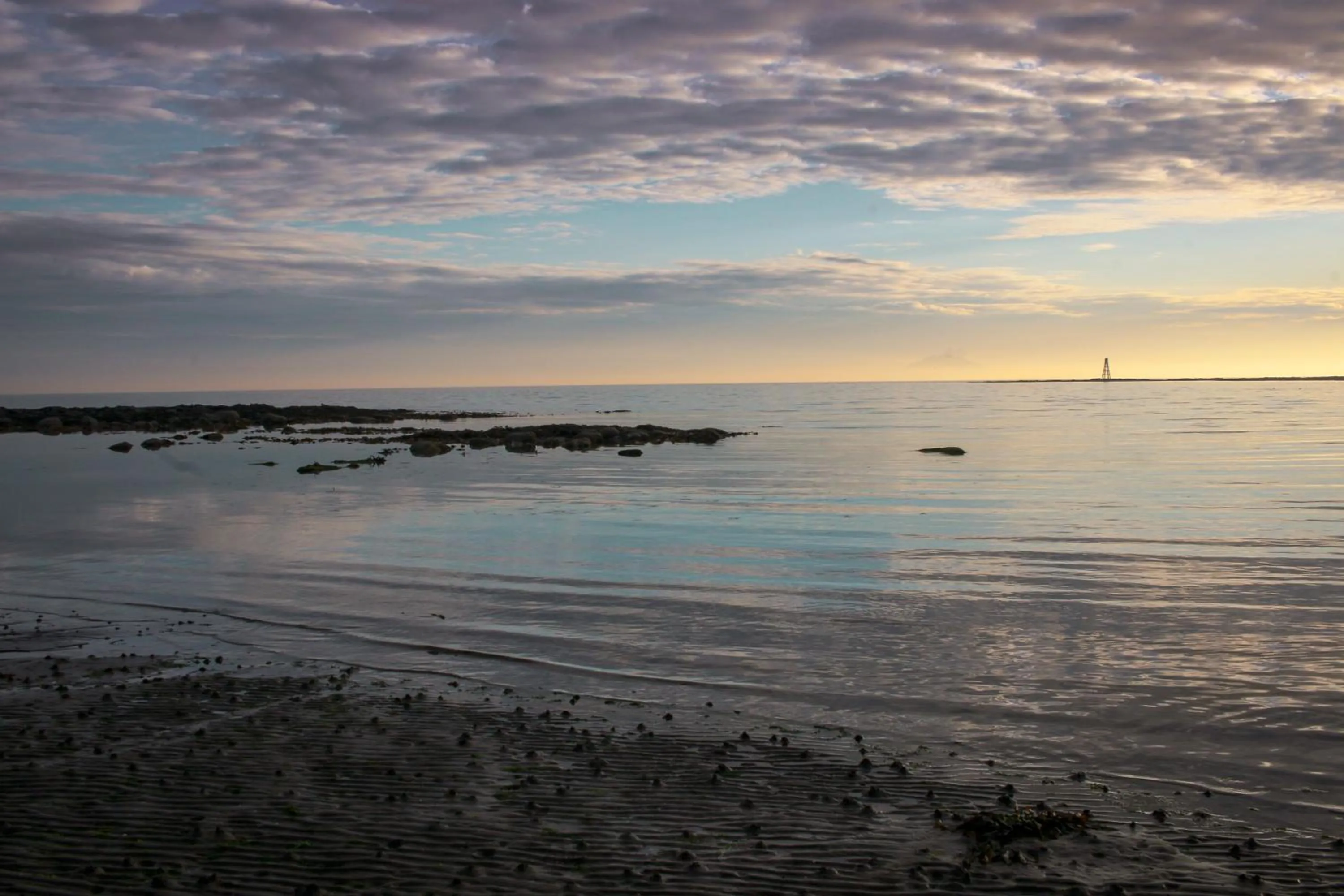 Natural landscape in Turnberry Apartments