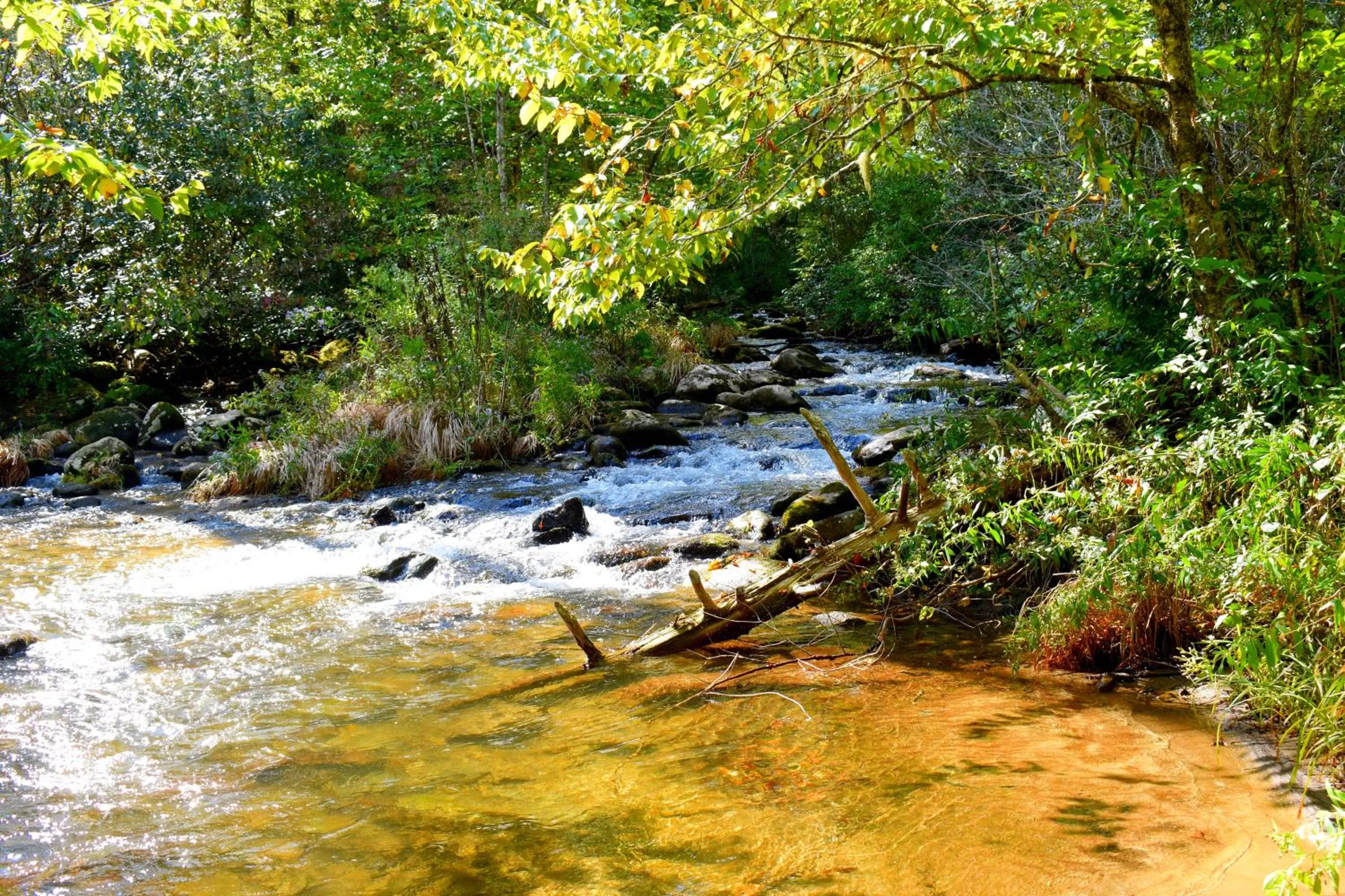 Neighbourhood in The Junction
