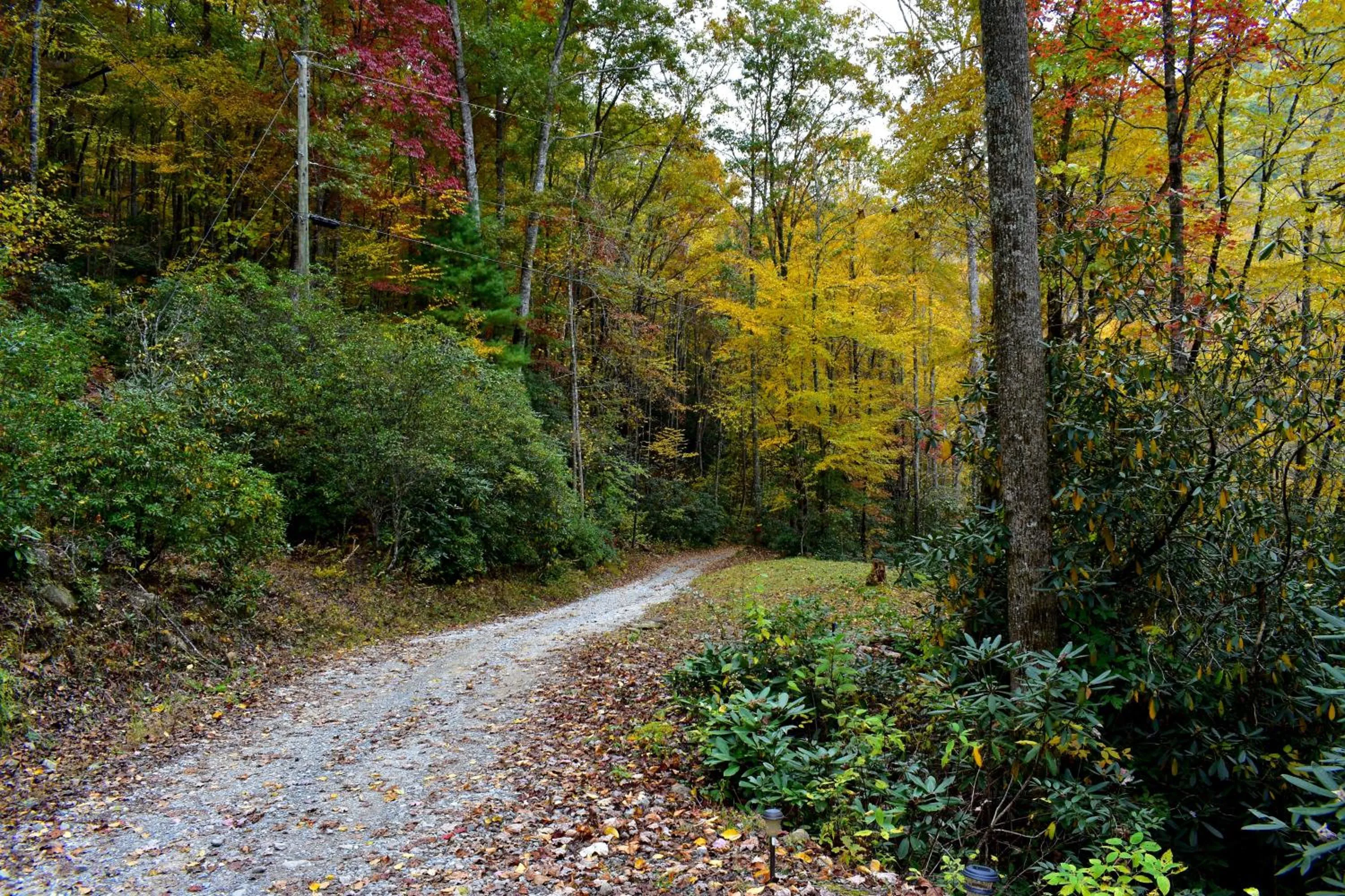 Neighbourhood in The Junction