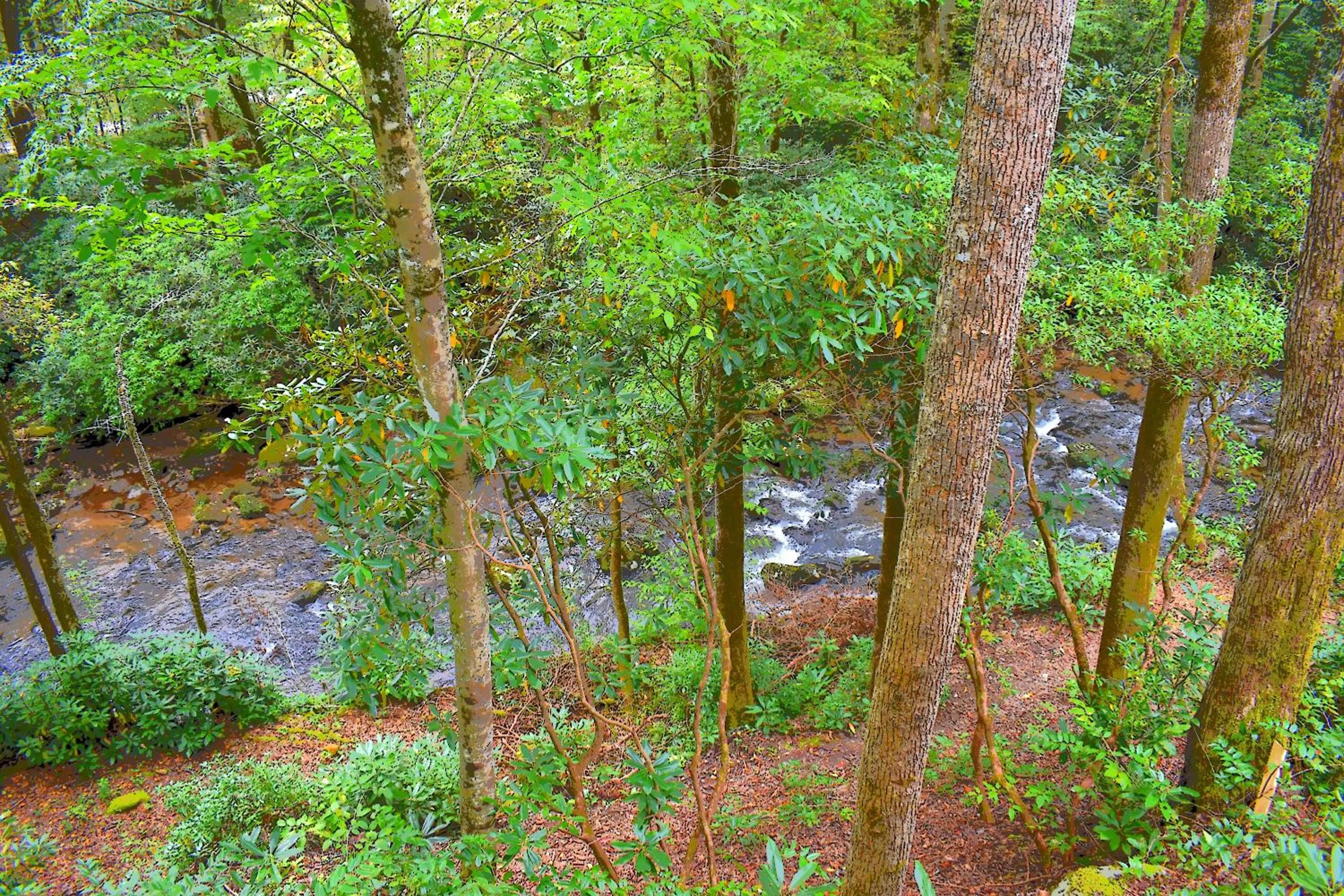 Natural landscape in The Junction