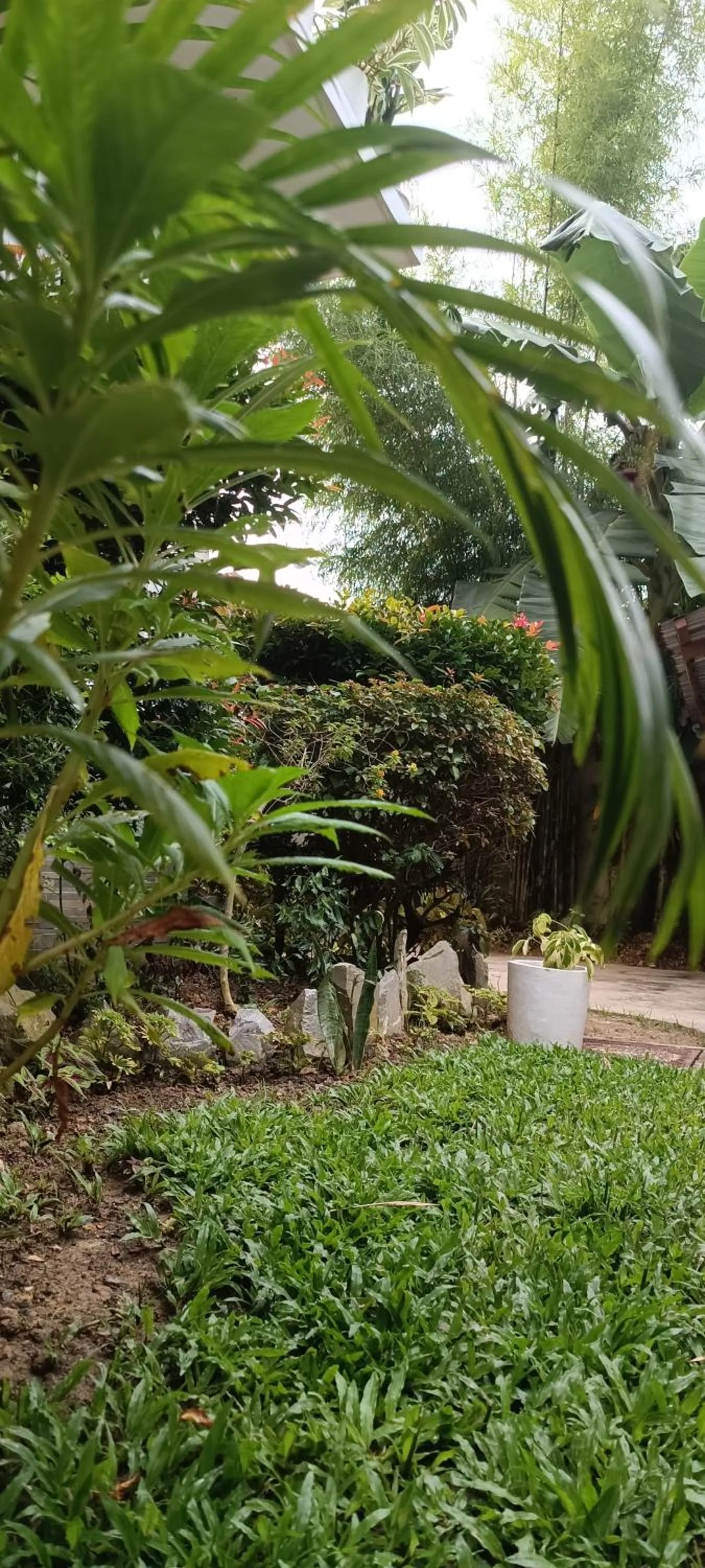 Garden view in Layang Layang Home