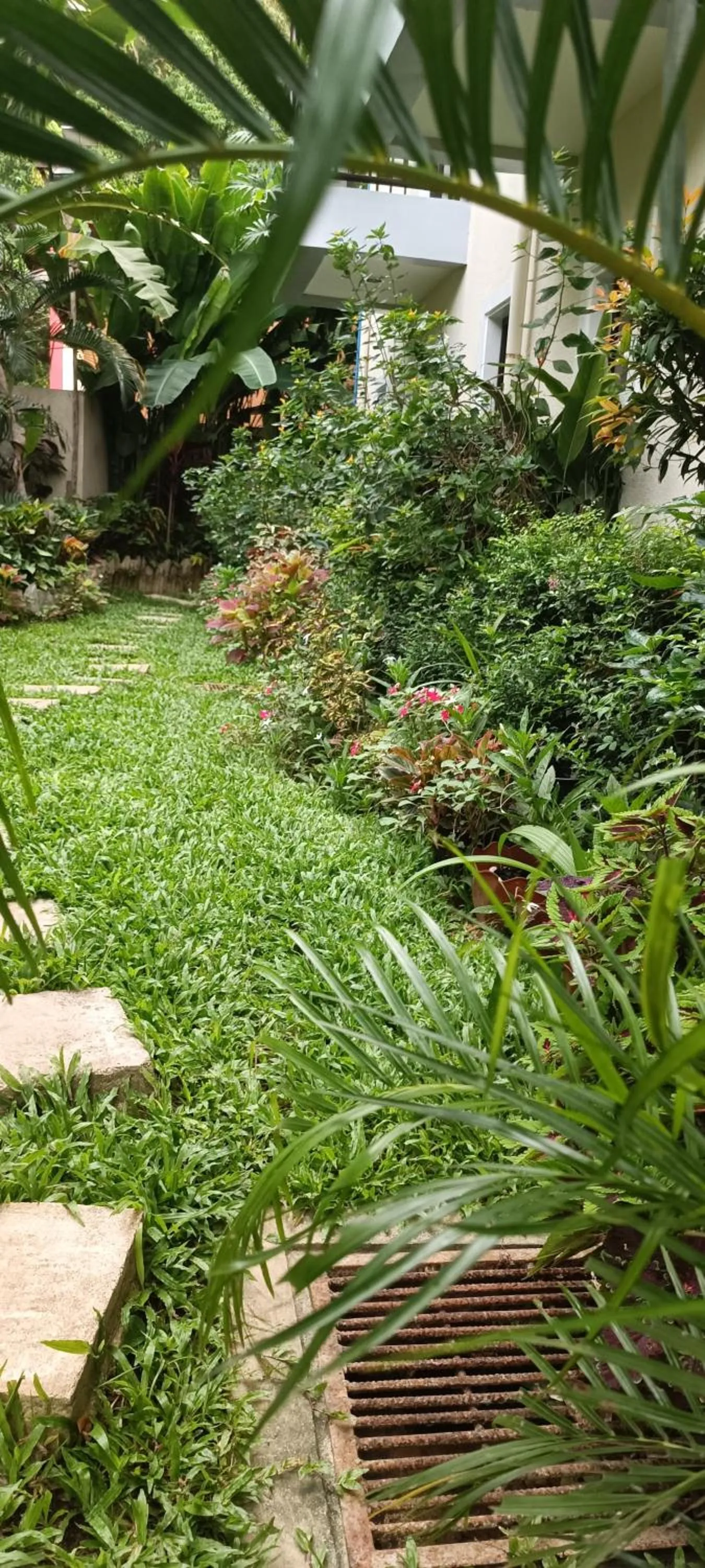 Garden view in Layang Layang Home