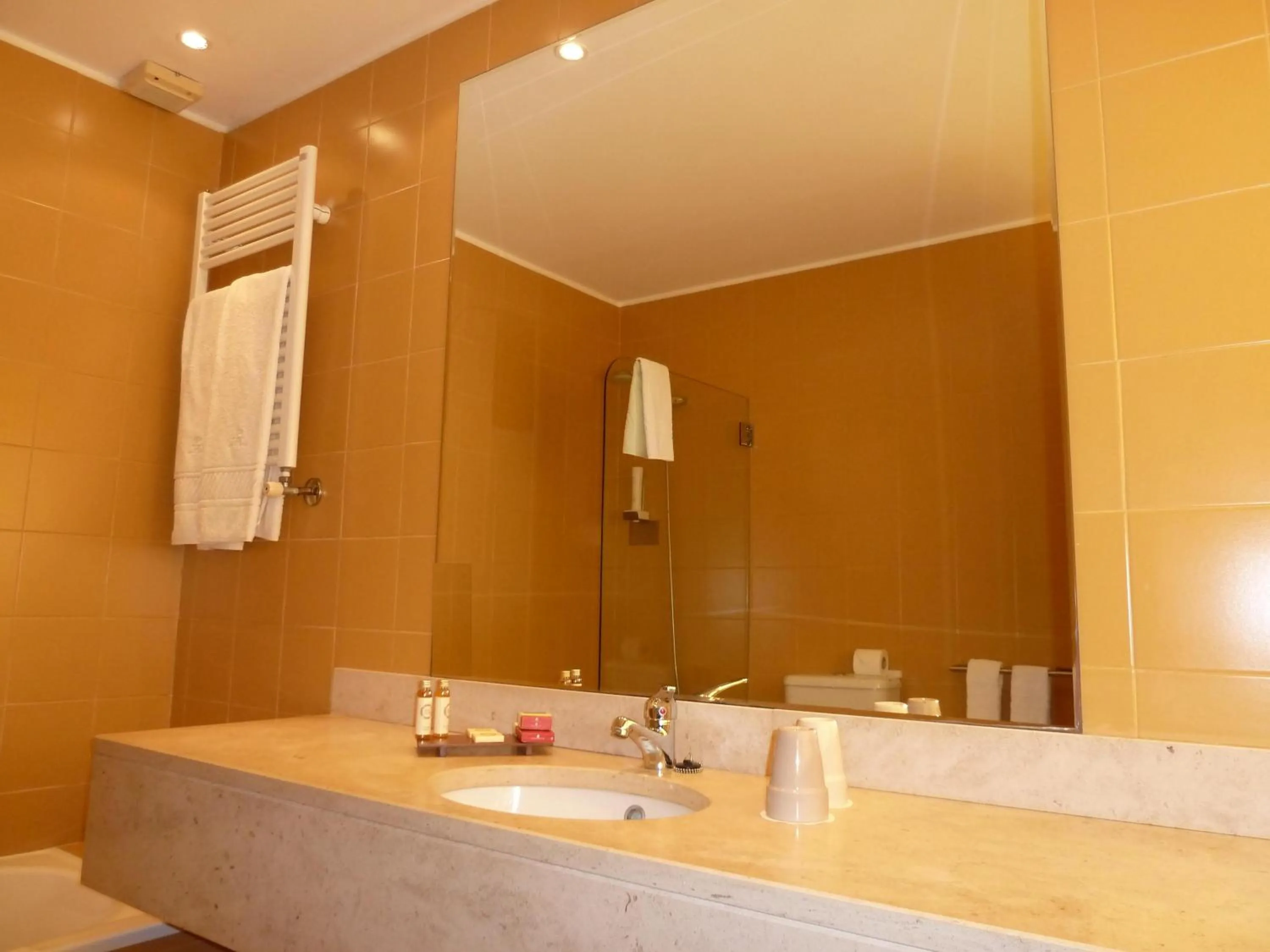 Shower in Douro Hotel Porto Antigo