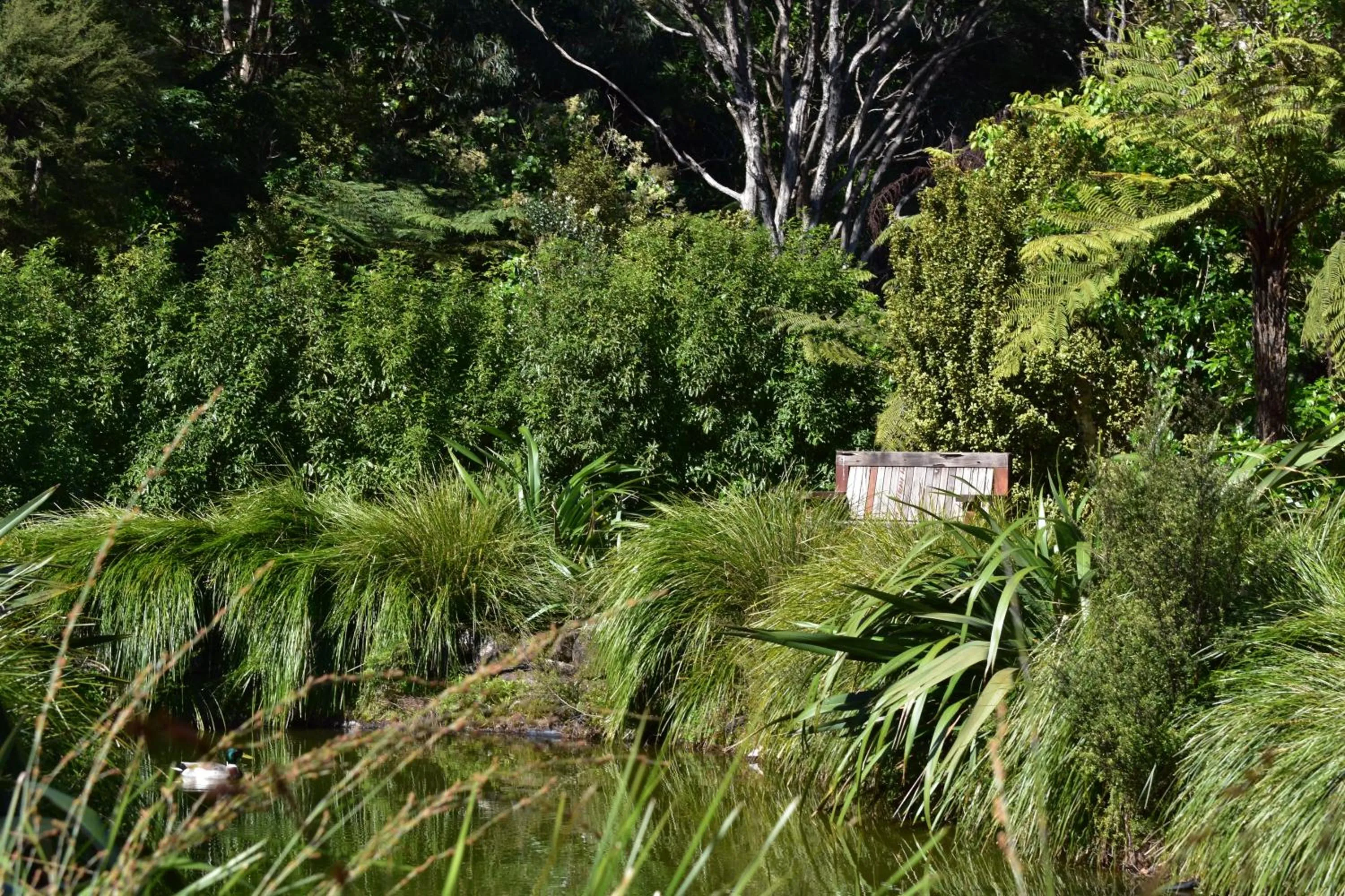 Garden in Atea Lodge