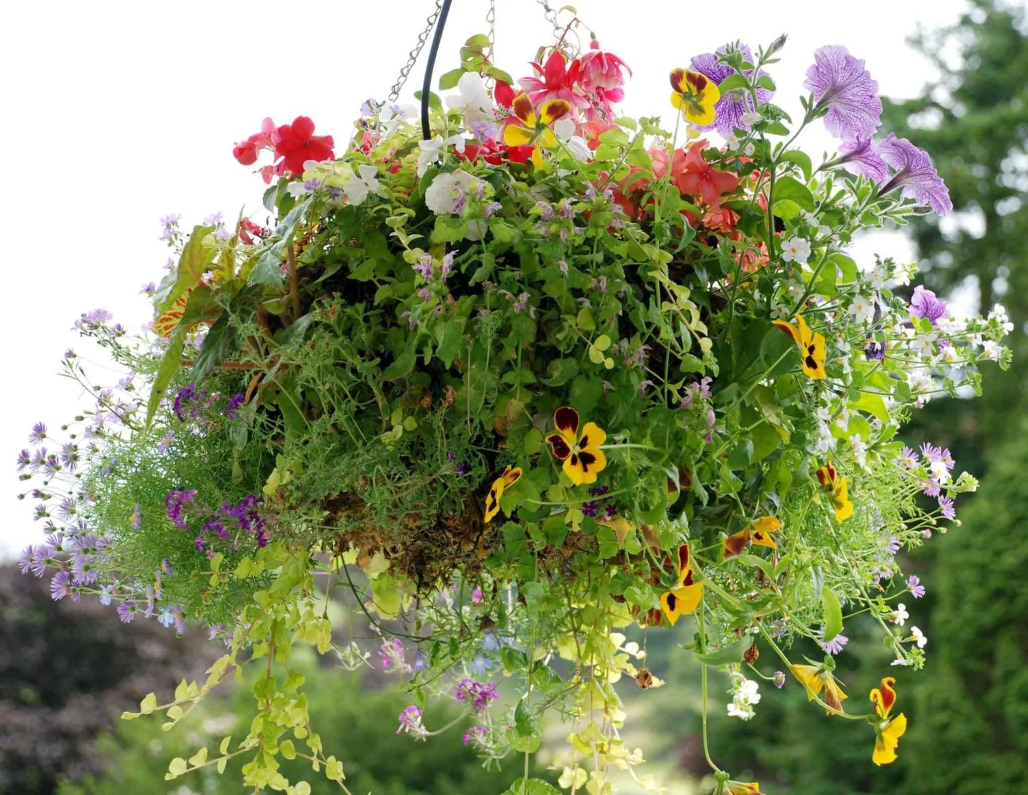 Decorative detail in Ees Wyke Country House