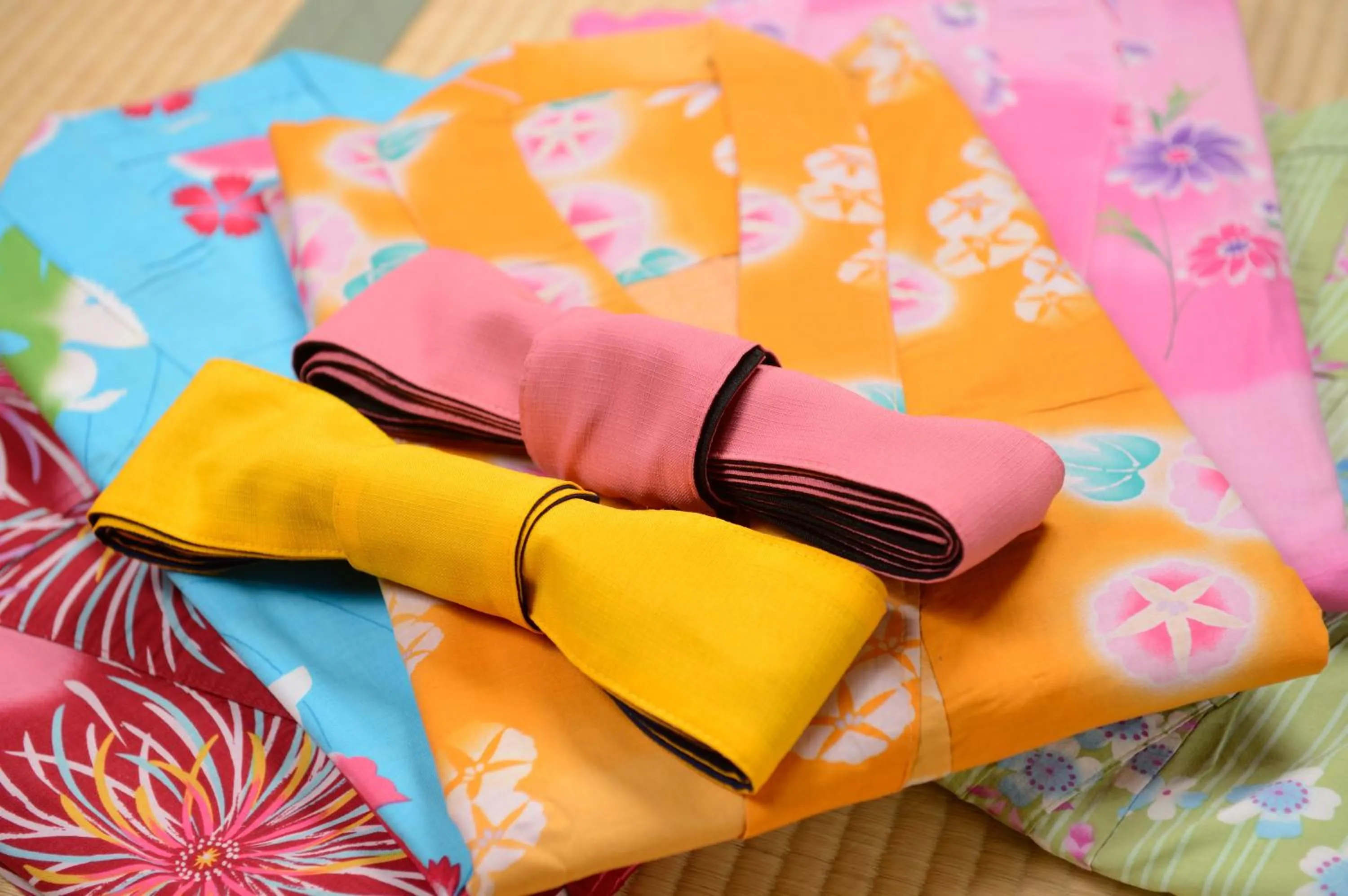 Other in Iizaka Onsen Surikamitei Ohtori