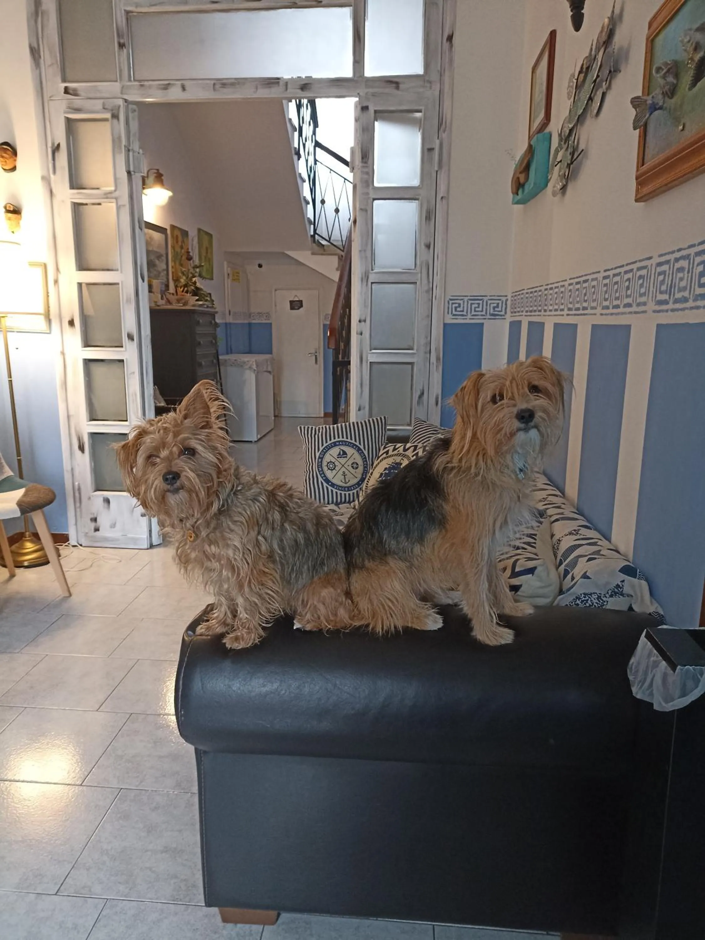 pet friendly in Hotel VILLA ITALIA B&B